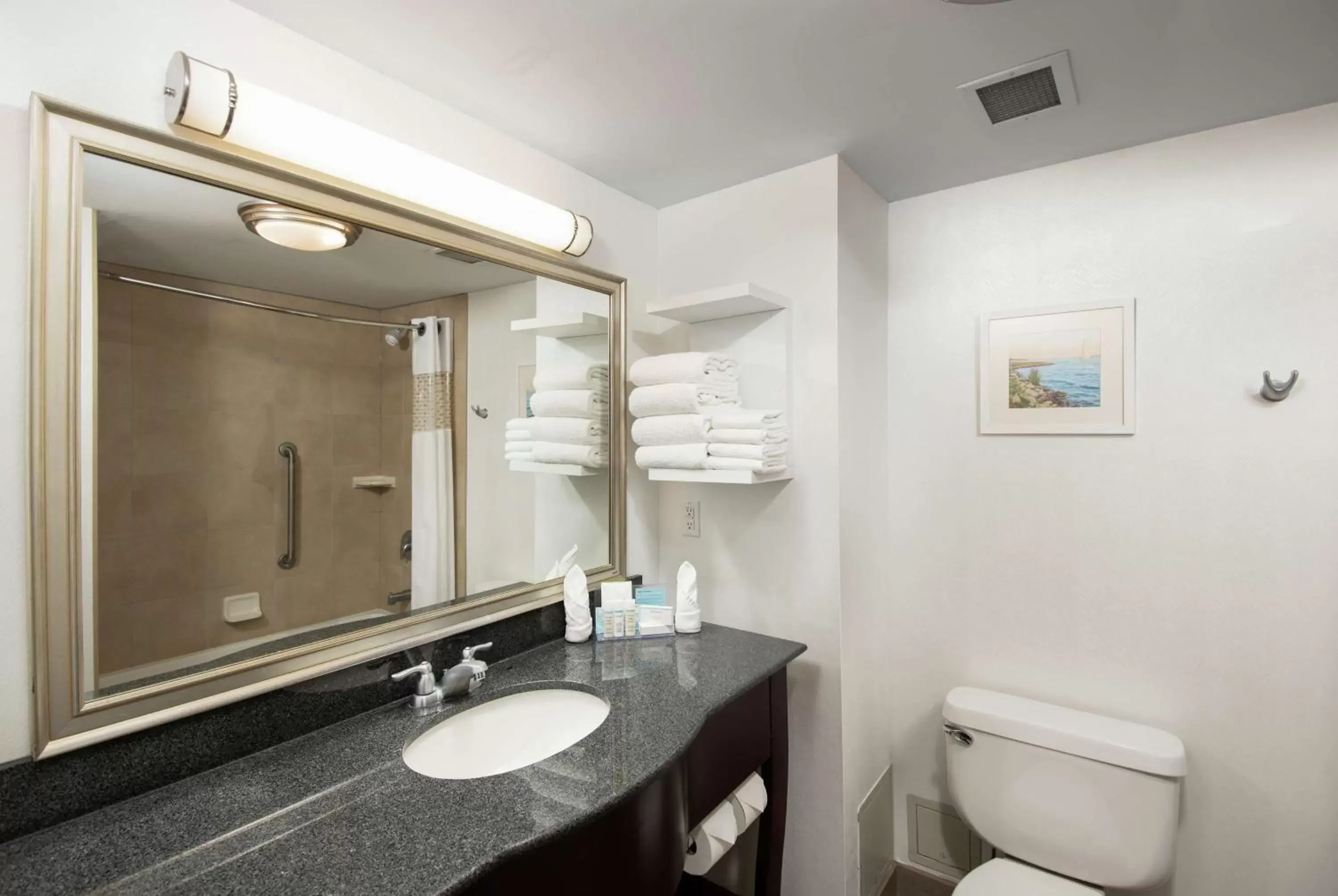 Bathroom in Hampton Inn & Suites by Hilton Barrie