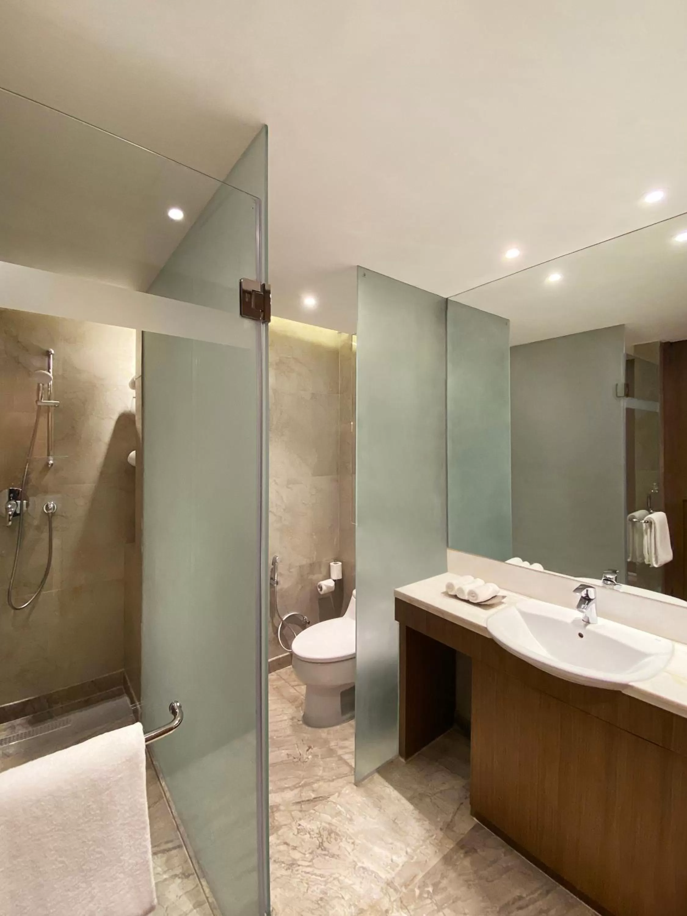 Shower in Radisson Blu Hotel Amritsar