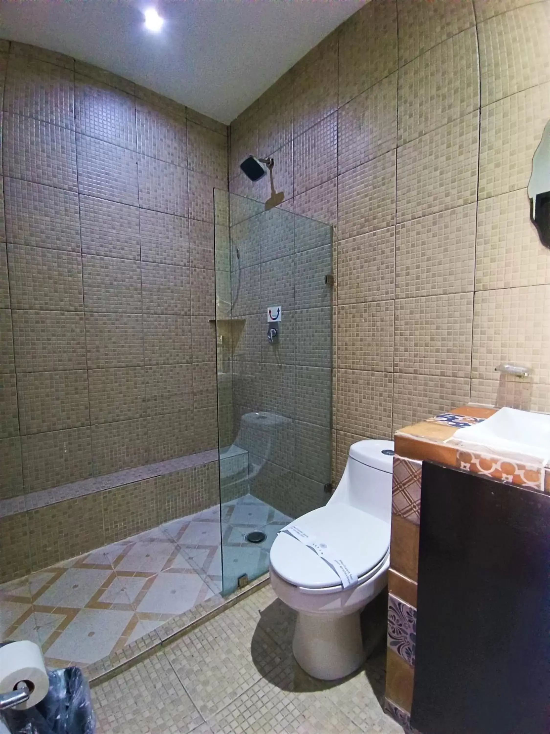 Shower, Bathroom in Hotel Merida