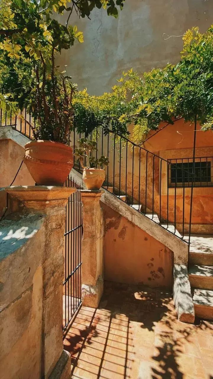 Garden in Palazzo Gambuzza