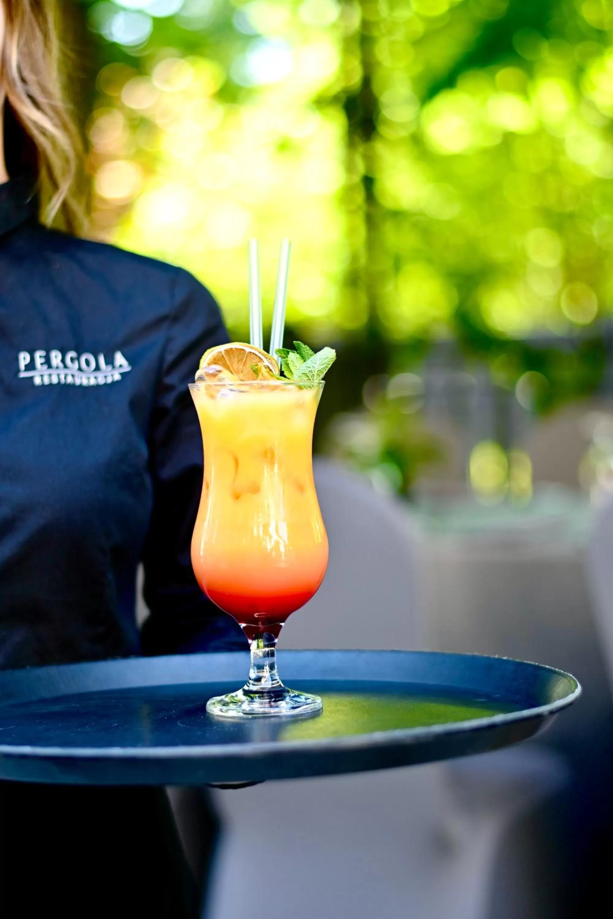 Hotel Sokół Wellness & SPA