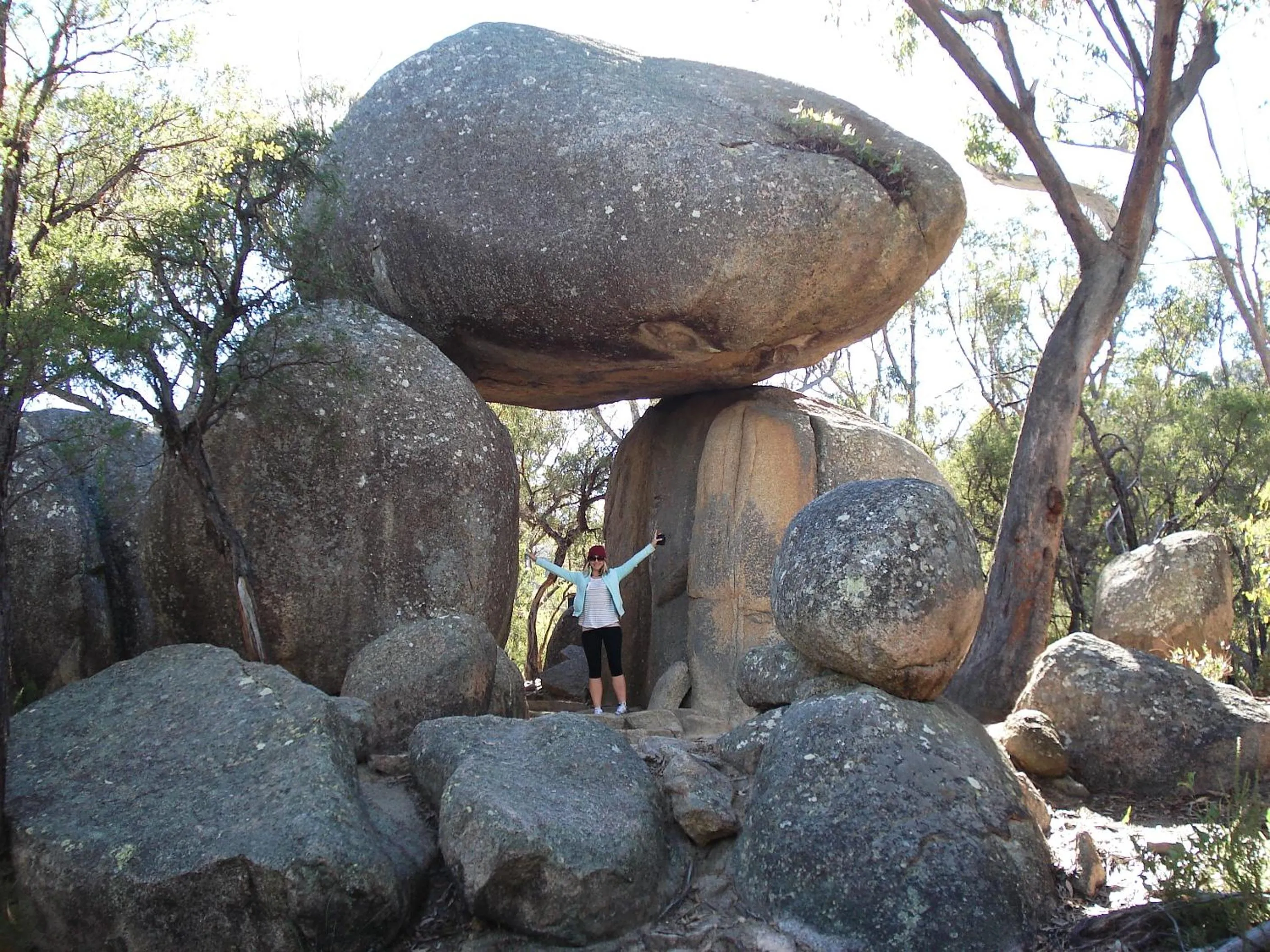 Natural landscape in Boulevard Motel