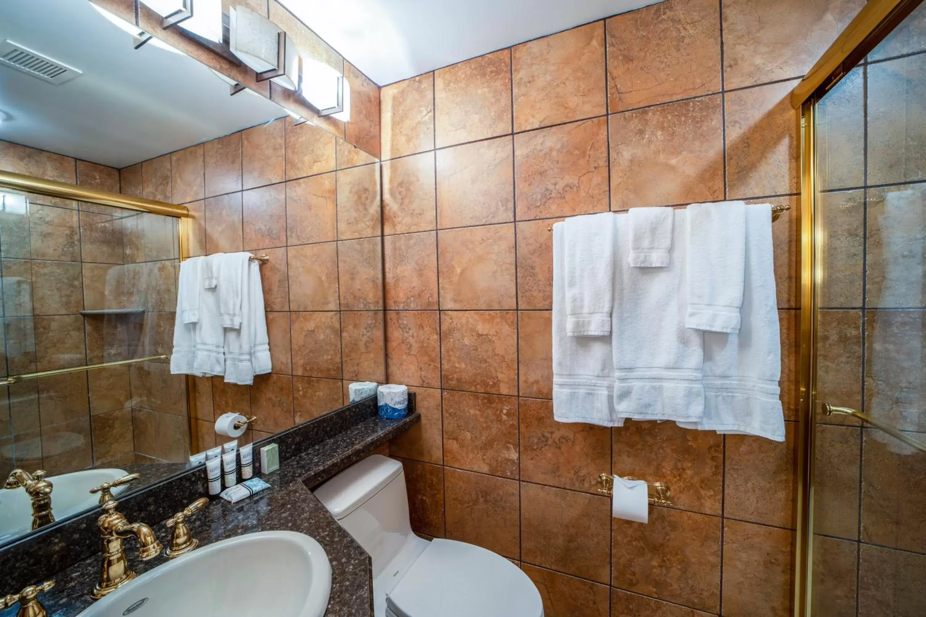 Bathroom in The Grand Resort