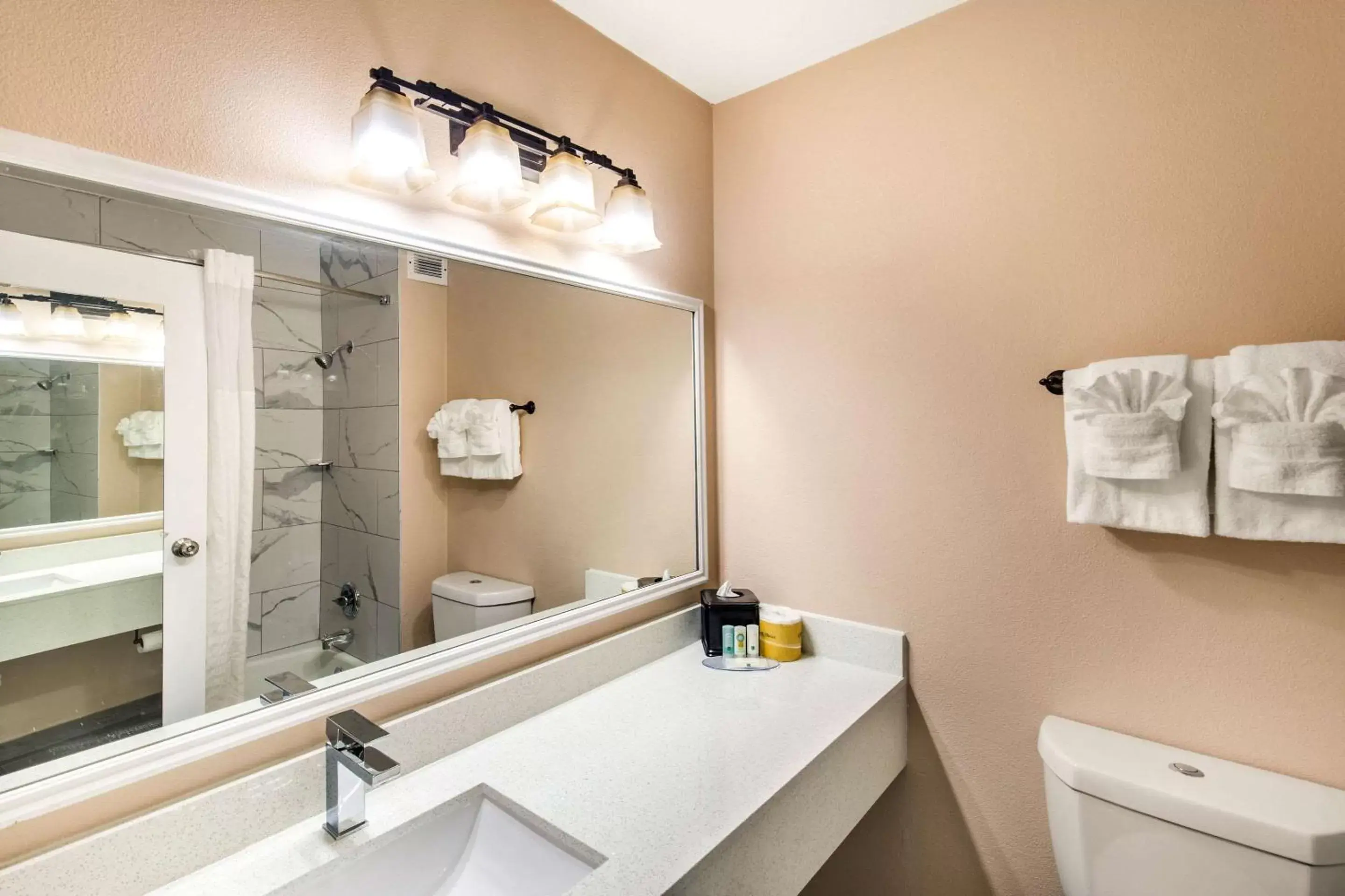 Bathroom in Quality Inn & Suites Plano
