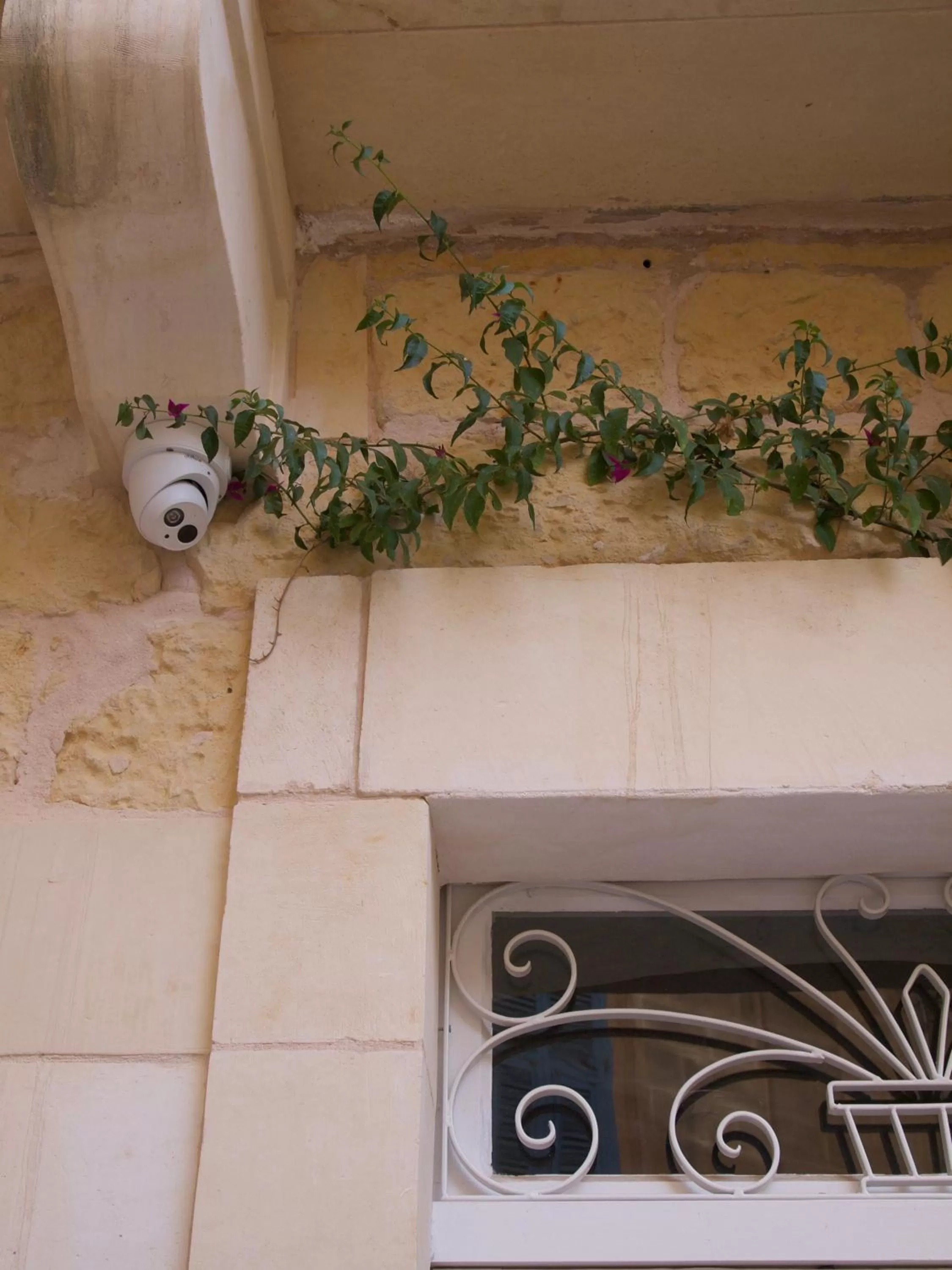 Facade/entrance in Provicario