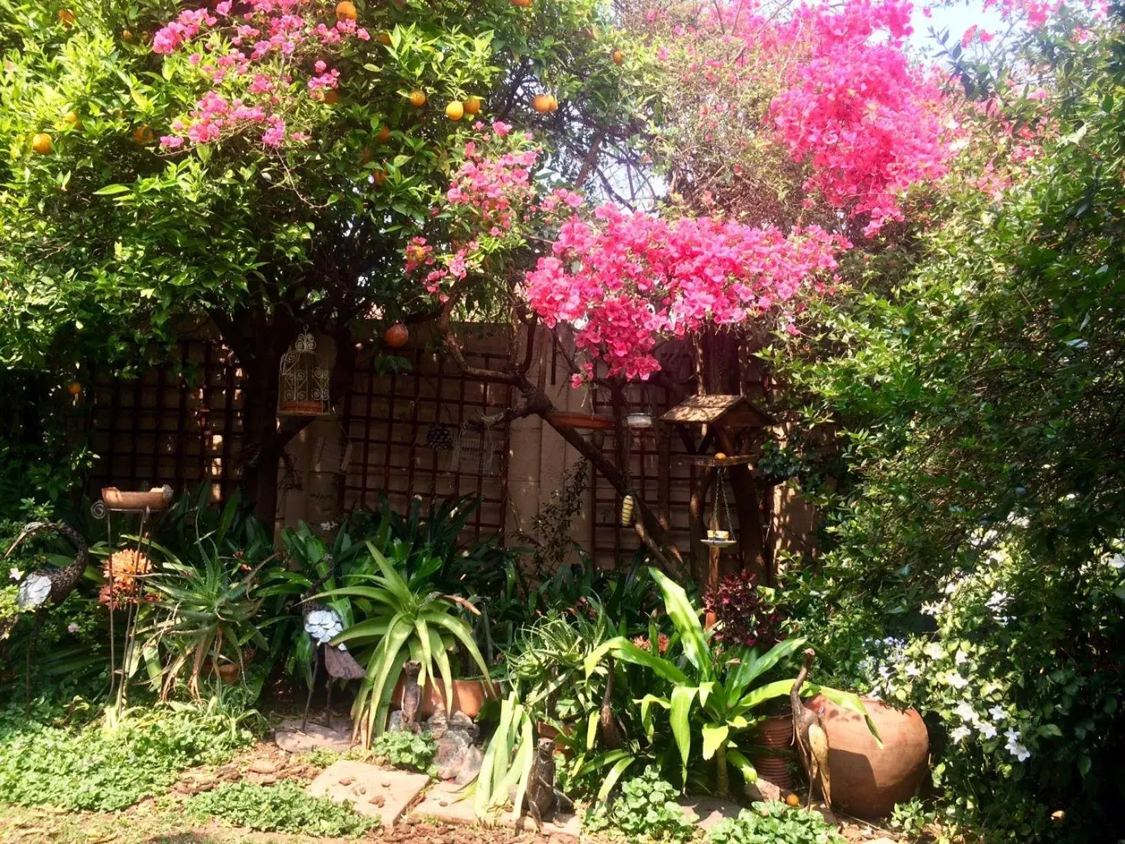 Garden, Property Building in Claires of Sandton Luxury Guest House