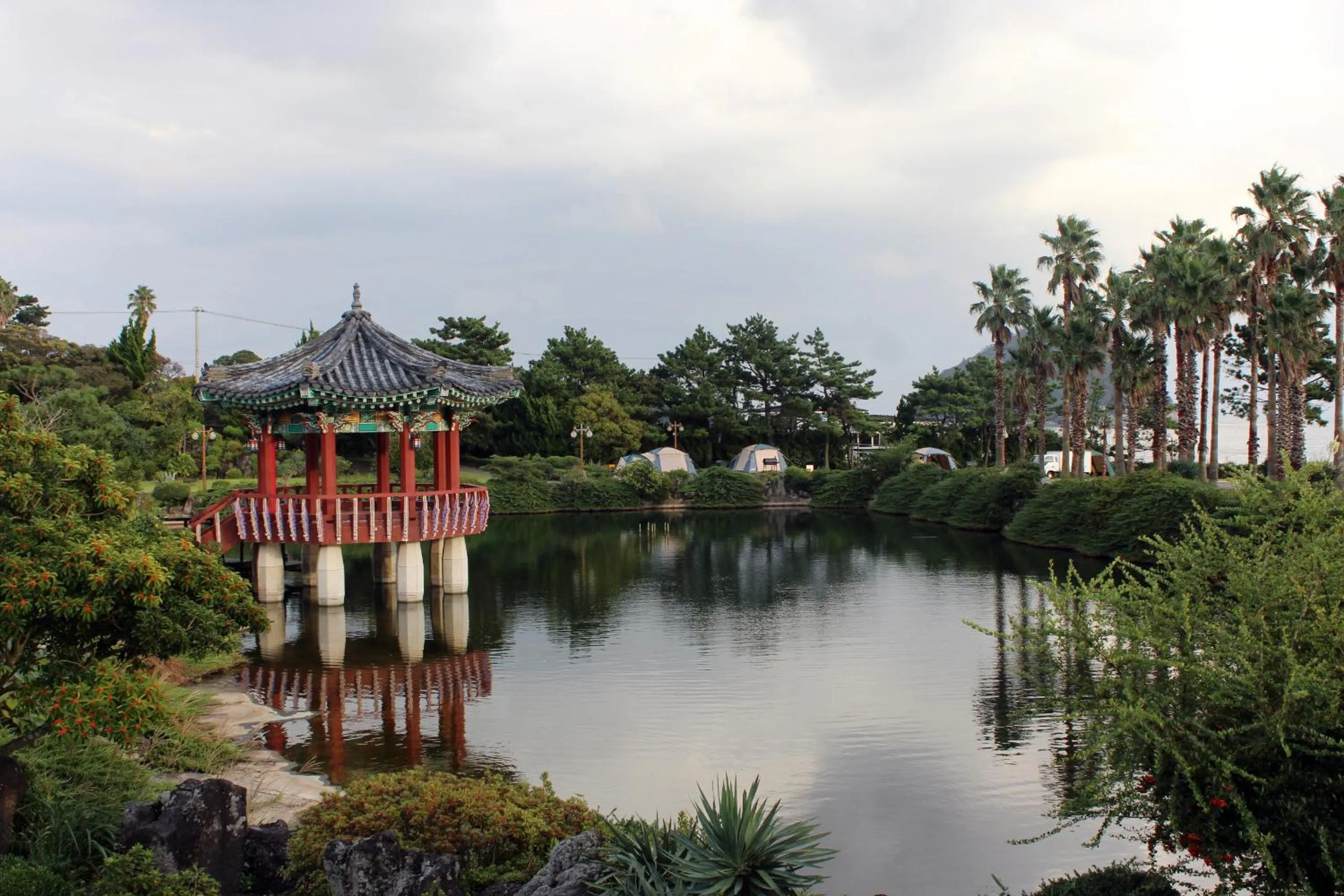 Spring in Seogwipo KAL Hotel