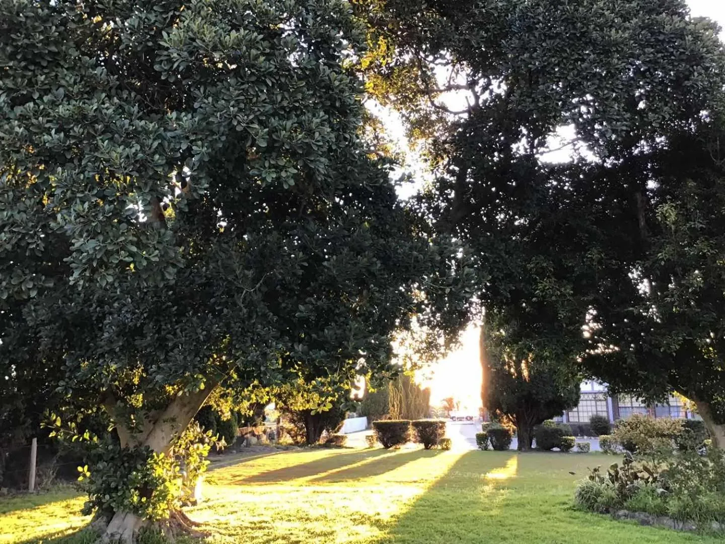 Day in Sir Francis Drake