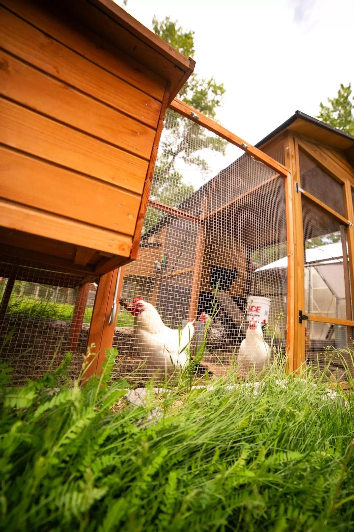 Garden in Chinook Winds Lodge