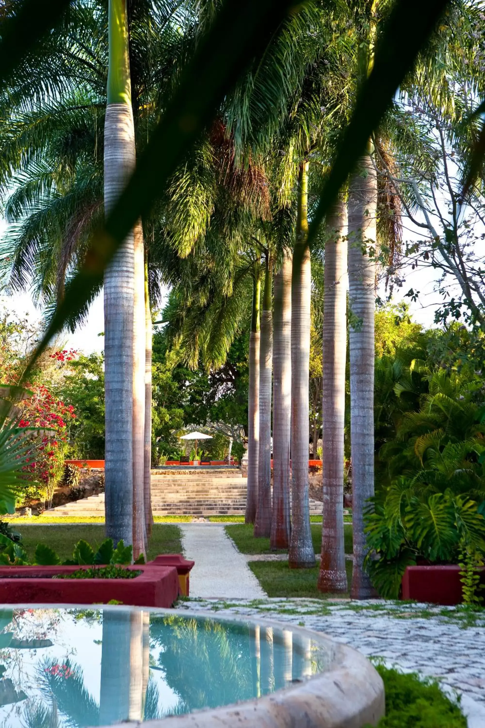 Garden in Hacienda San Jose