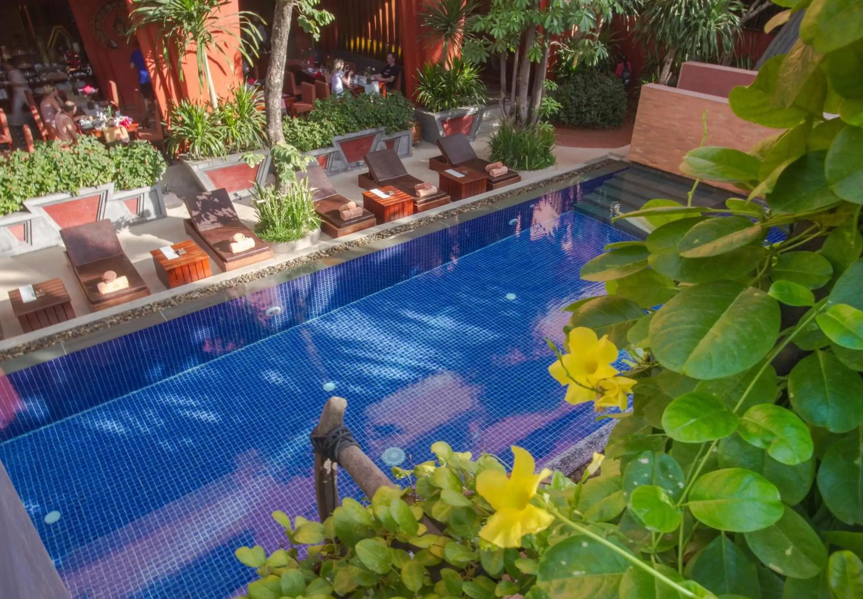 Swimming pool in Golden Temple Residence Swimming pool in Golden Temple Residence