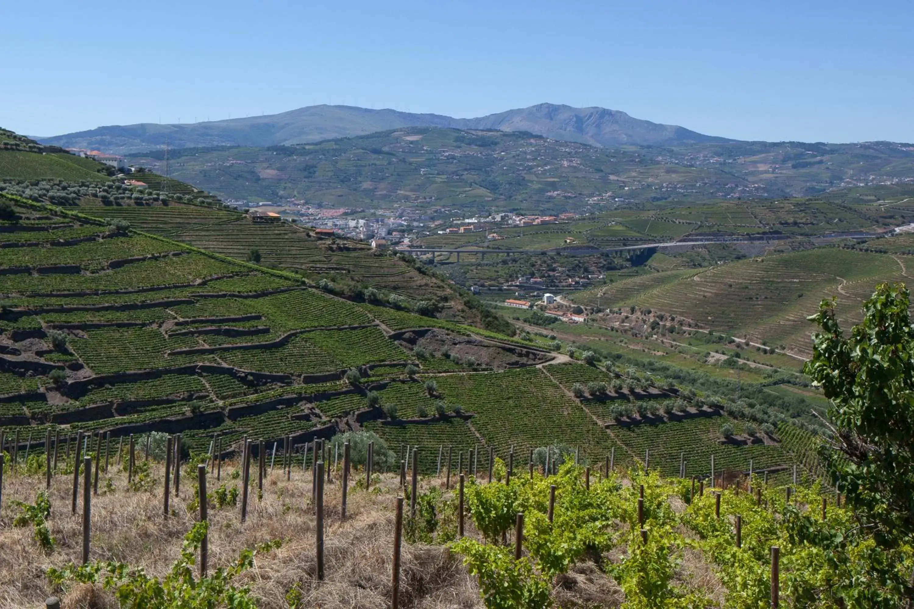 Area and facilities, Natural Landscape in Quinta De Casaldronho Wine Hotel