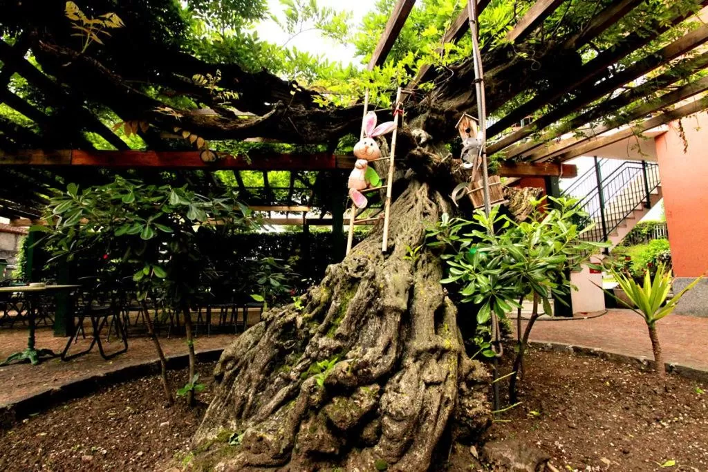 Patio in Apartment Lake Maggiore - ITALIA