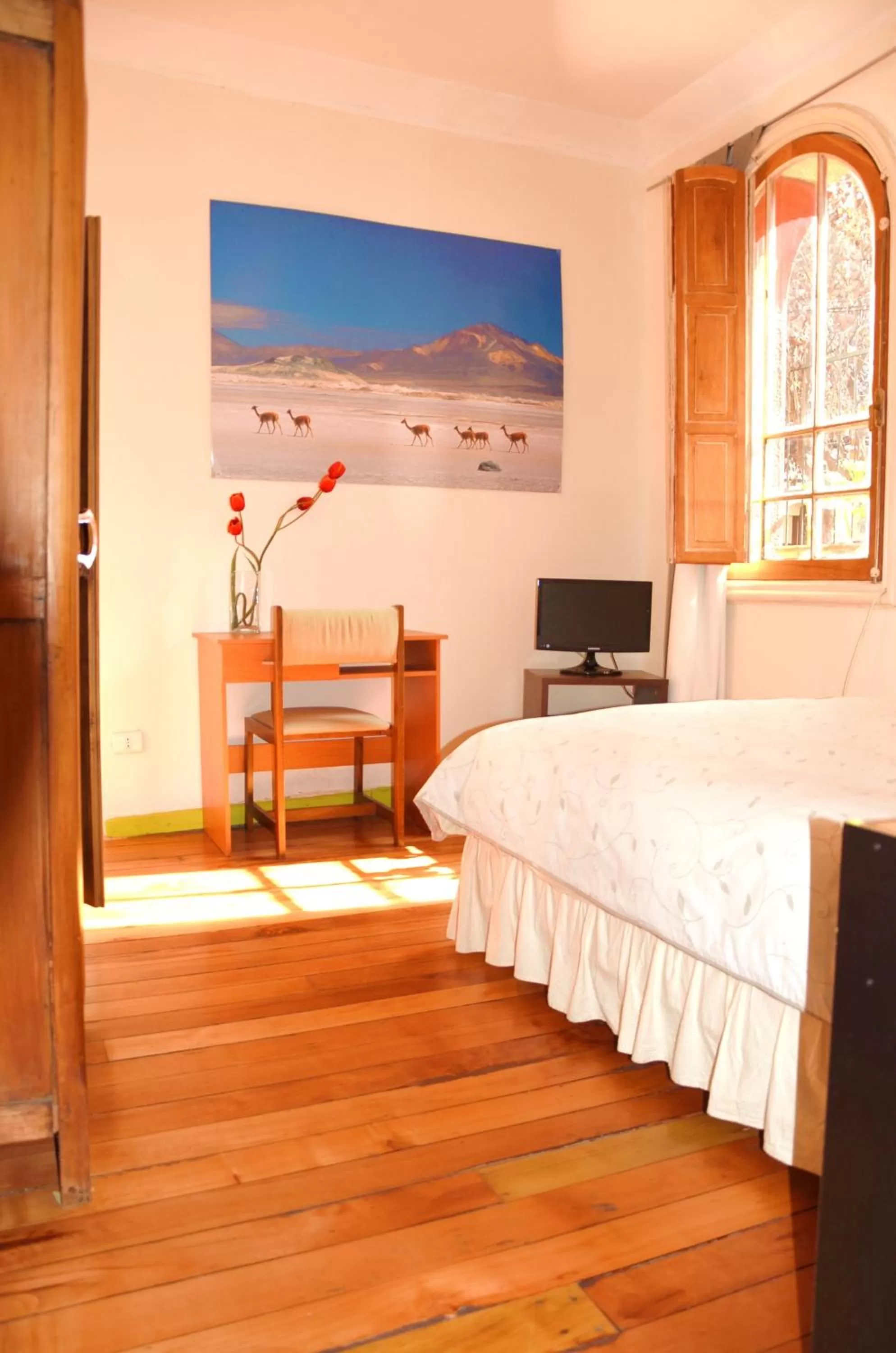 Photo of the whole room, Bed in Tralkan B&B