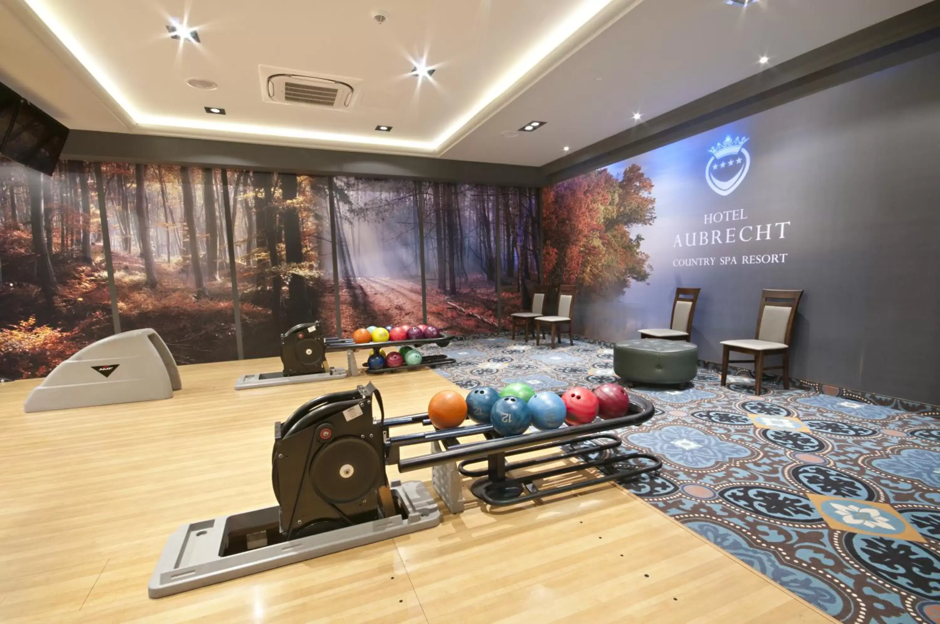 Bowling, Fitness Center/Facilities in Hotel Aubrecht Country Spa Resort