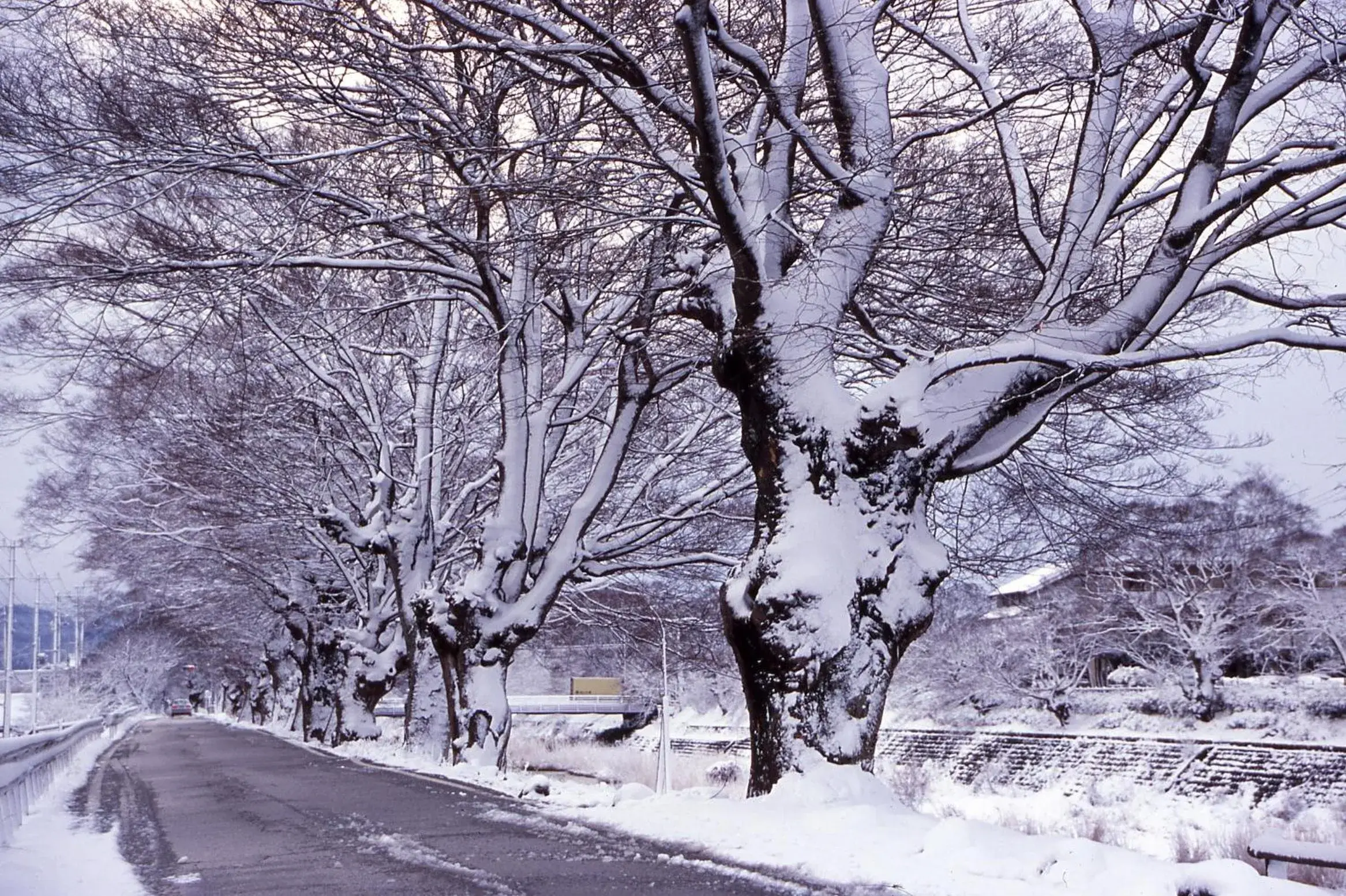 Winter in Apa Hotel Hikone Minami