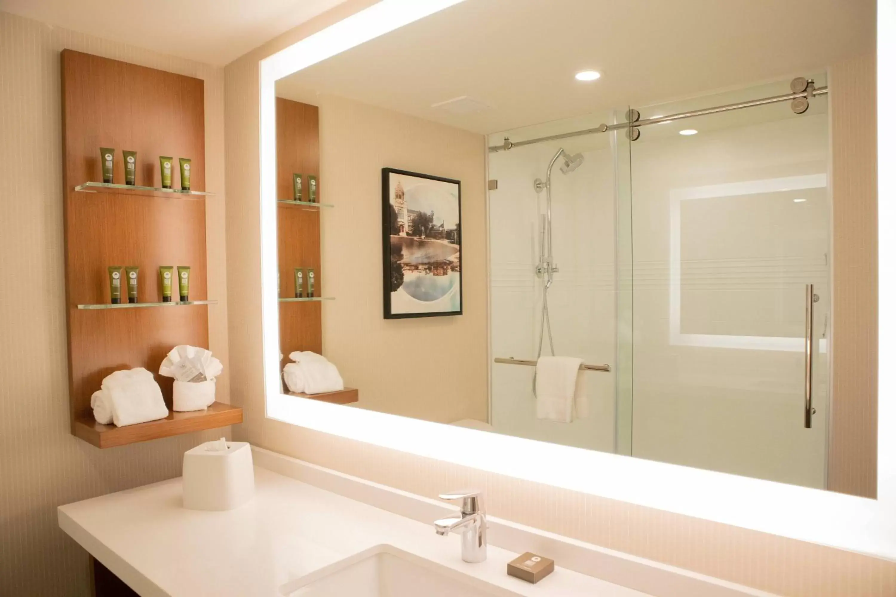 Bathroom in Delta Hotels by Marriott Allentown Lehigh Valley