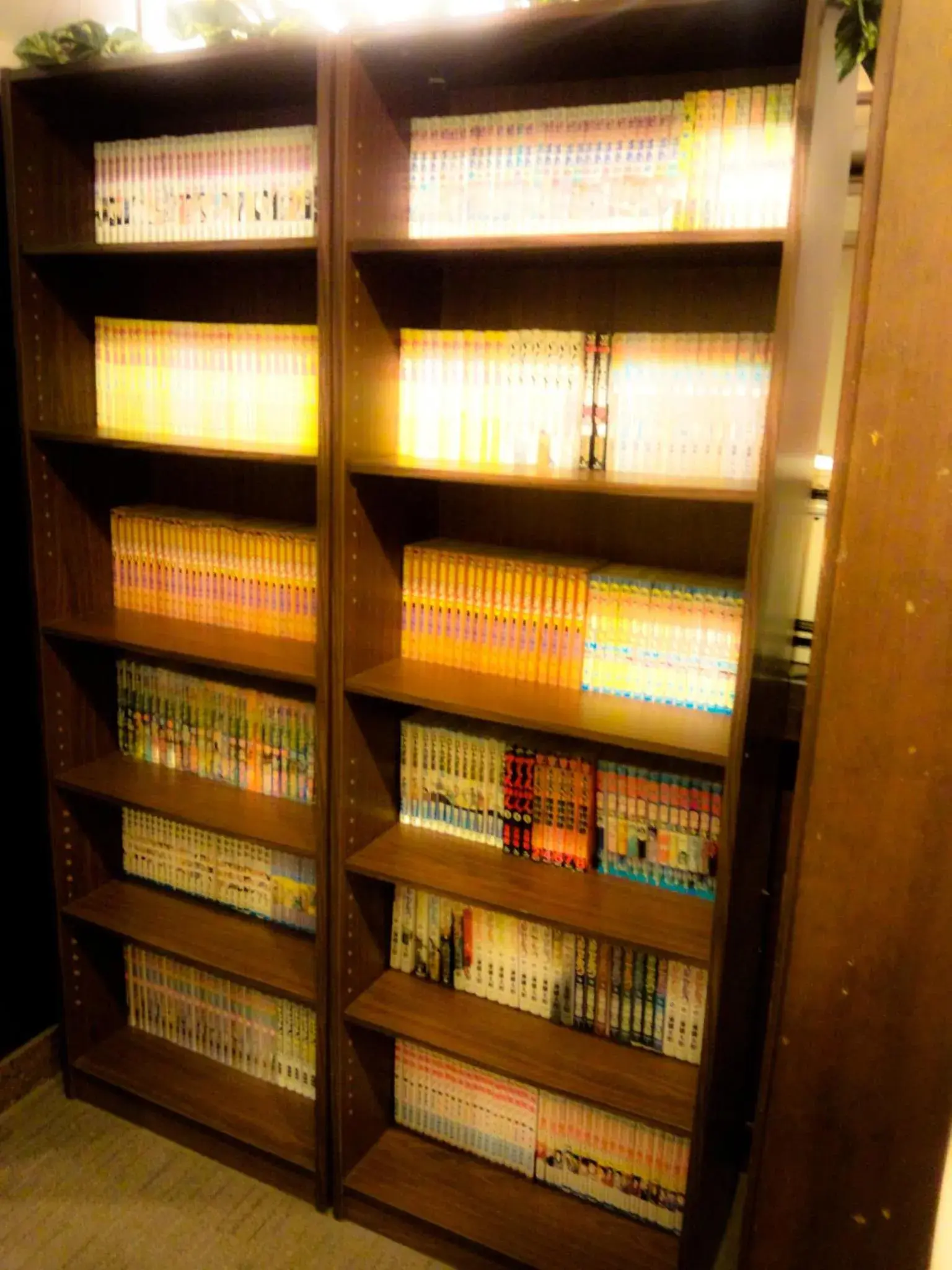 Library in Hotel Matsumoto Hills