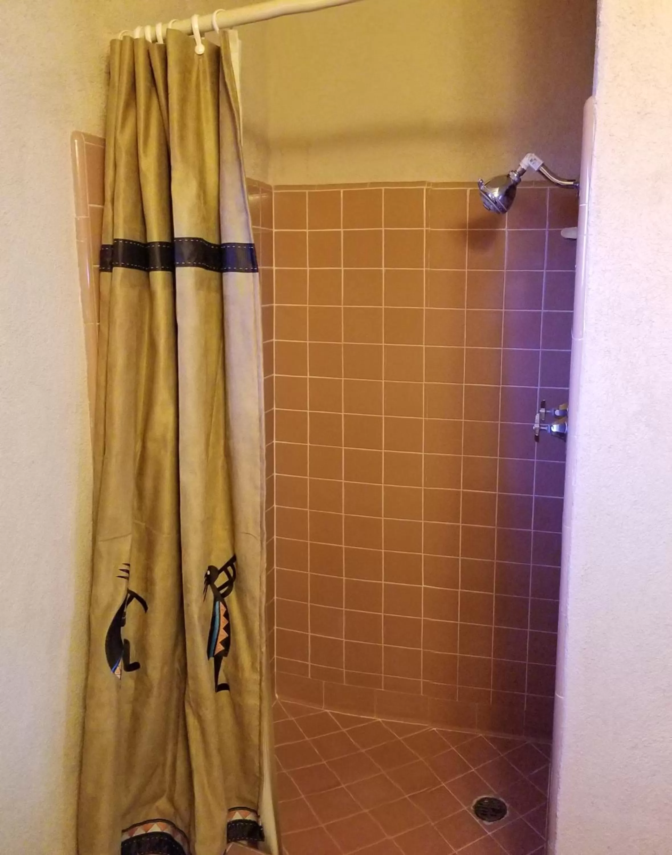Bathroom in Adobe Sands Motel