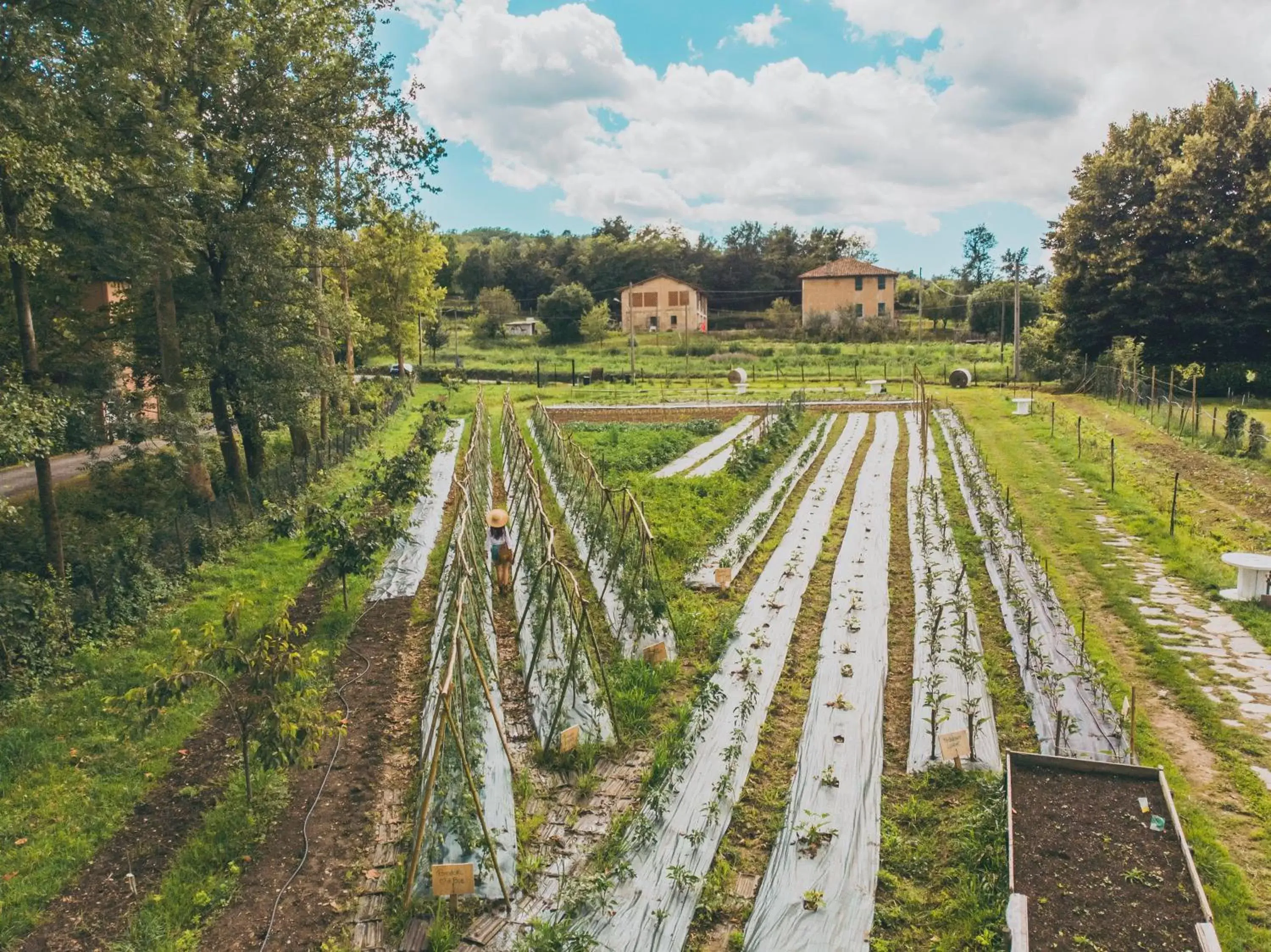 Garden view in La Casa del Mulino