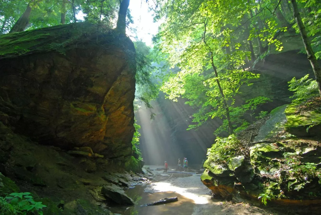 Hiking in Turkey Run Inn & Cabins