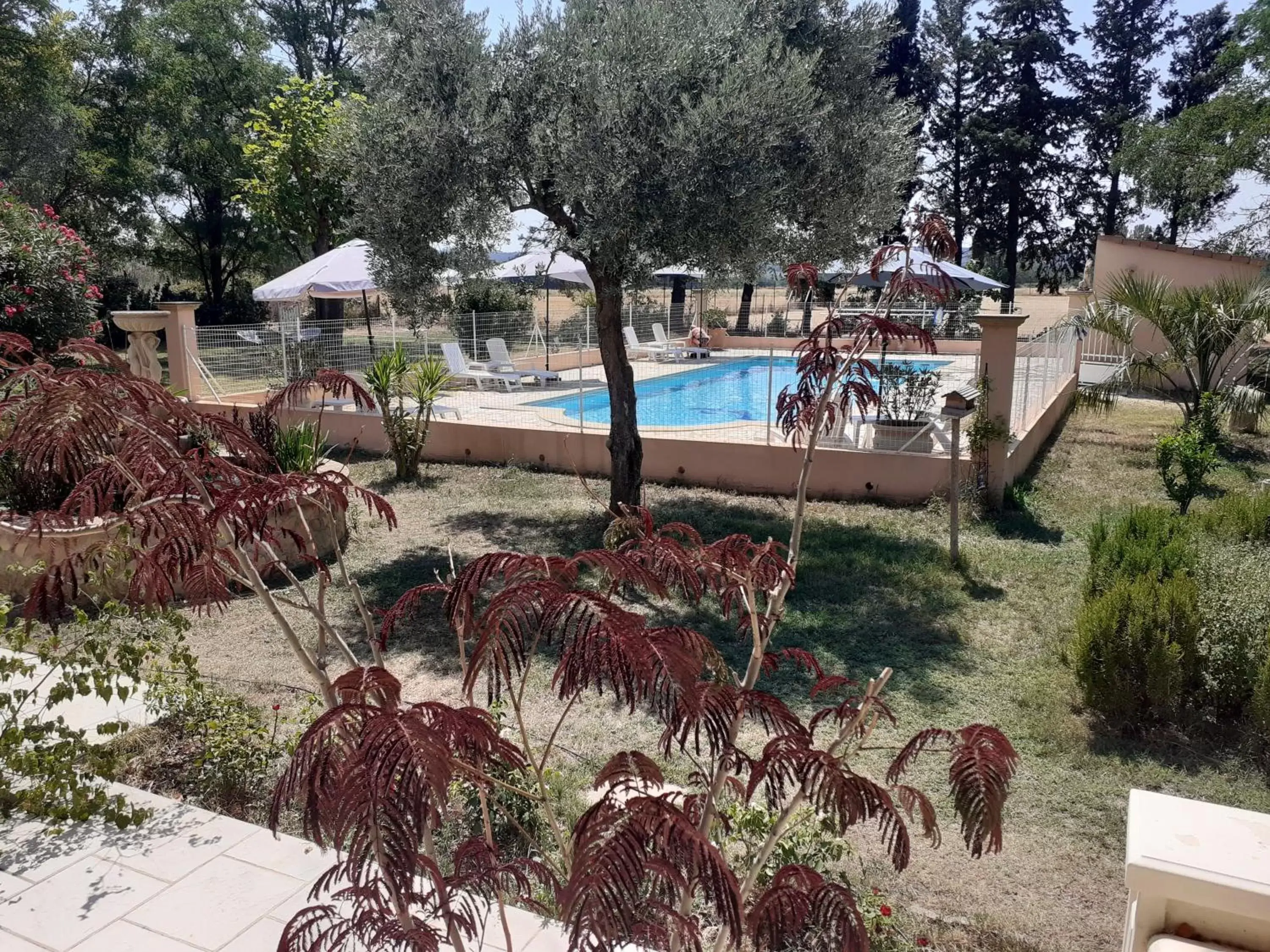 Pool View in B&B et Gite d'ayran