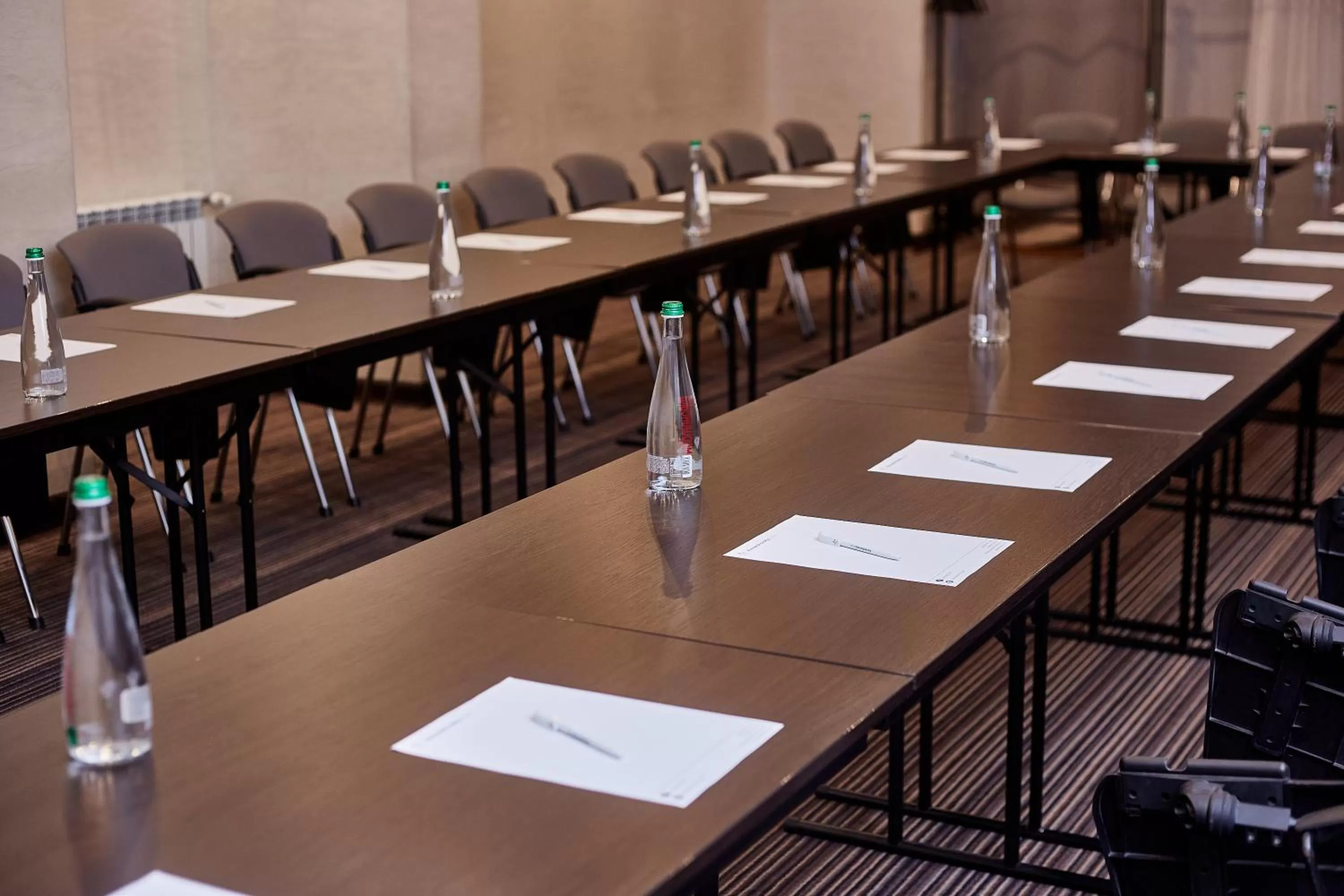 Business facilities in Alexandrovskiy Hotel