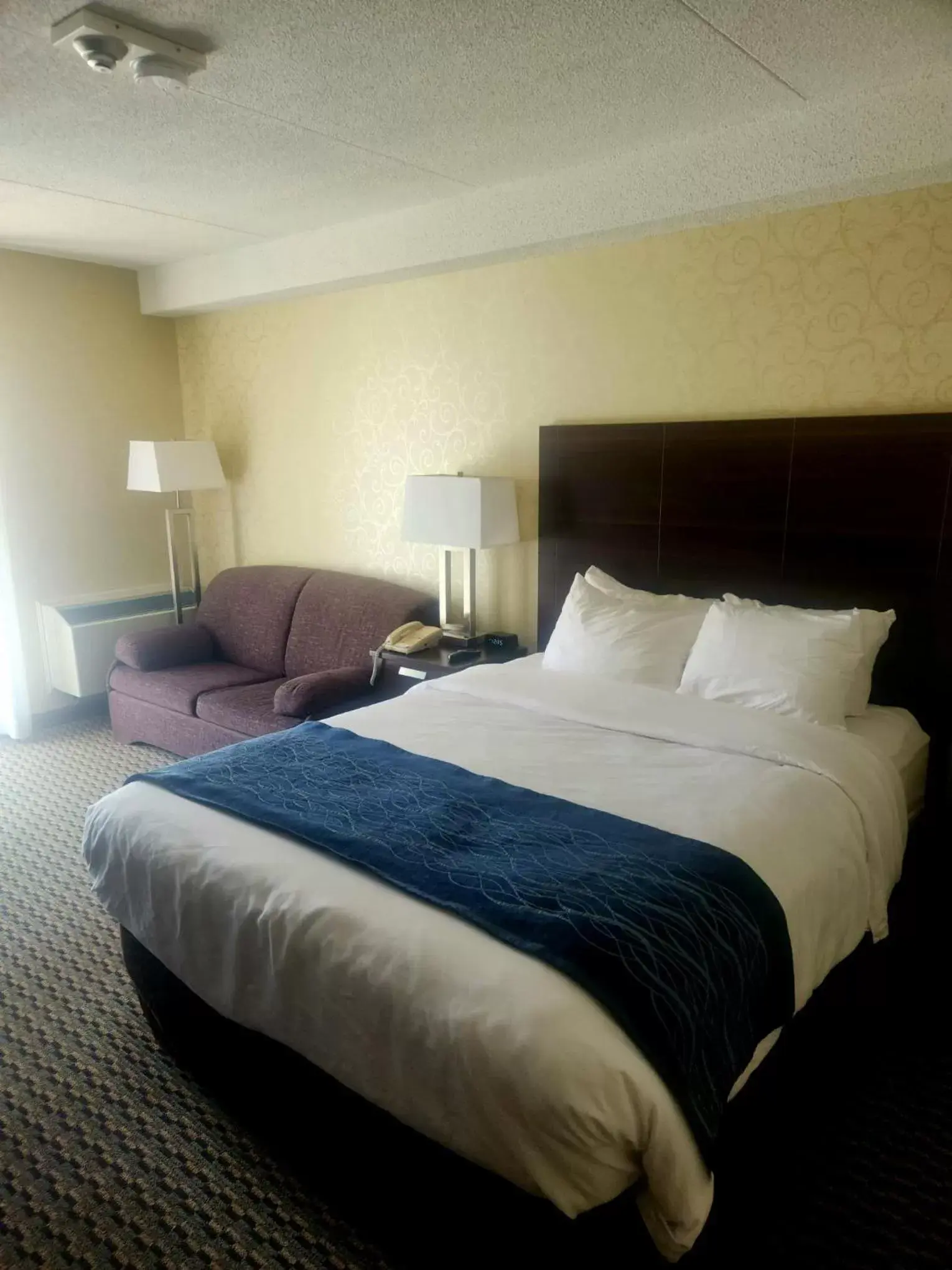 Bed in Comfort Inn Trois-Rivieres