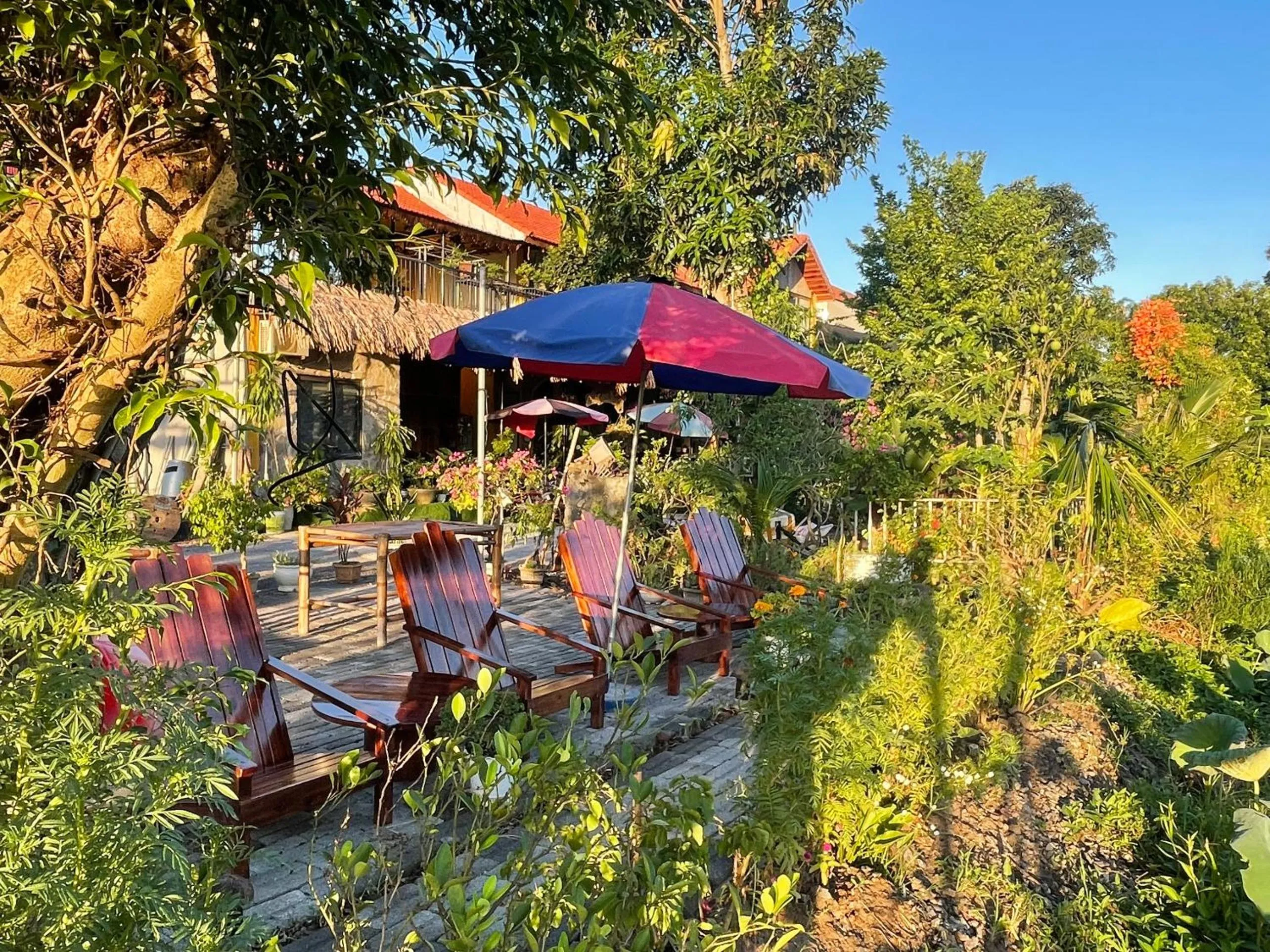 Tam Coc Mountain View Homestay