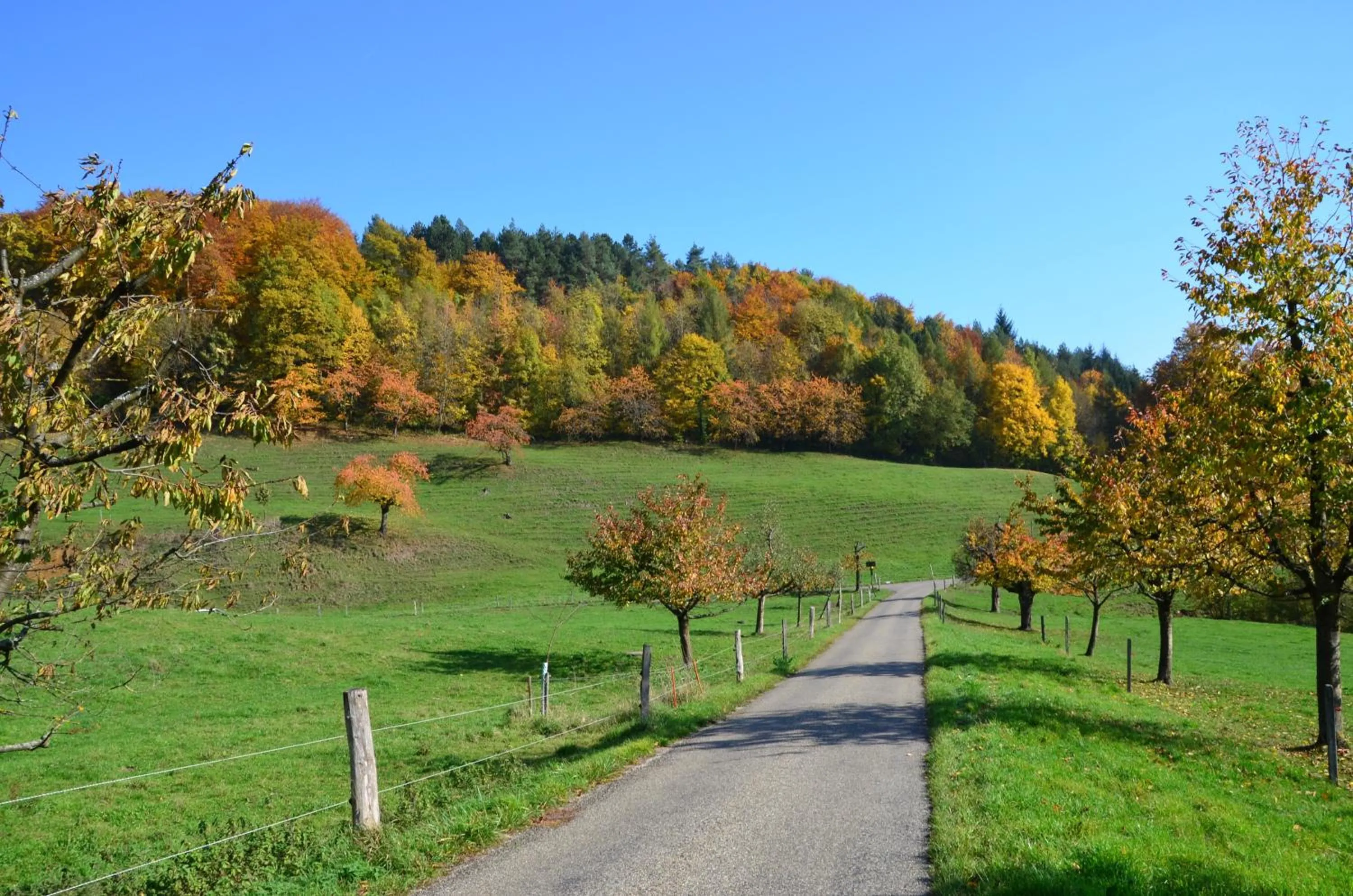 Day in Bad Schauenburg