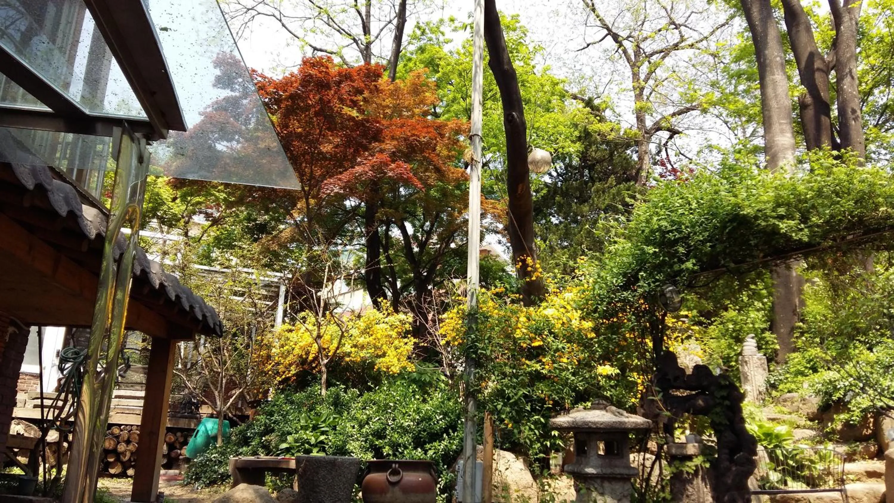Garden in Jiwoljang Guesthouse