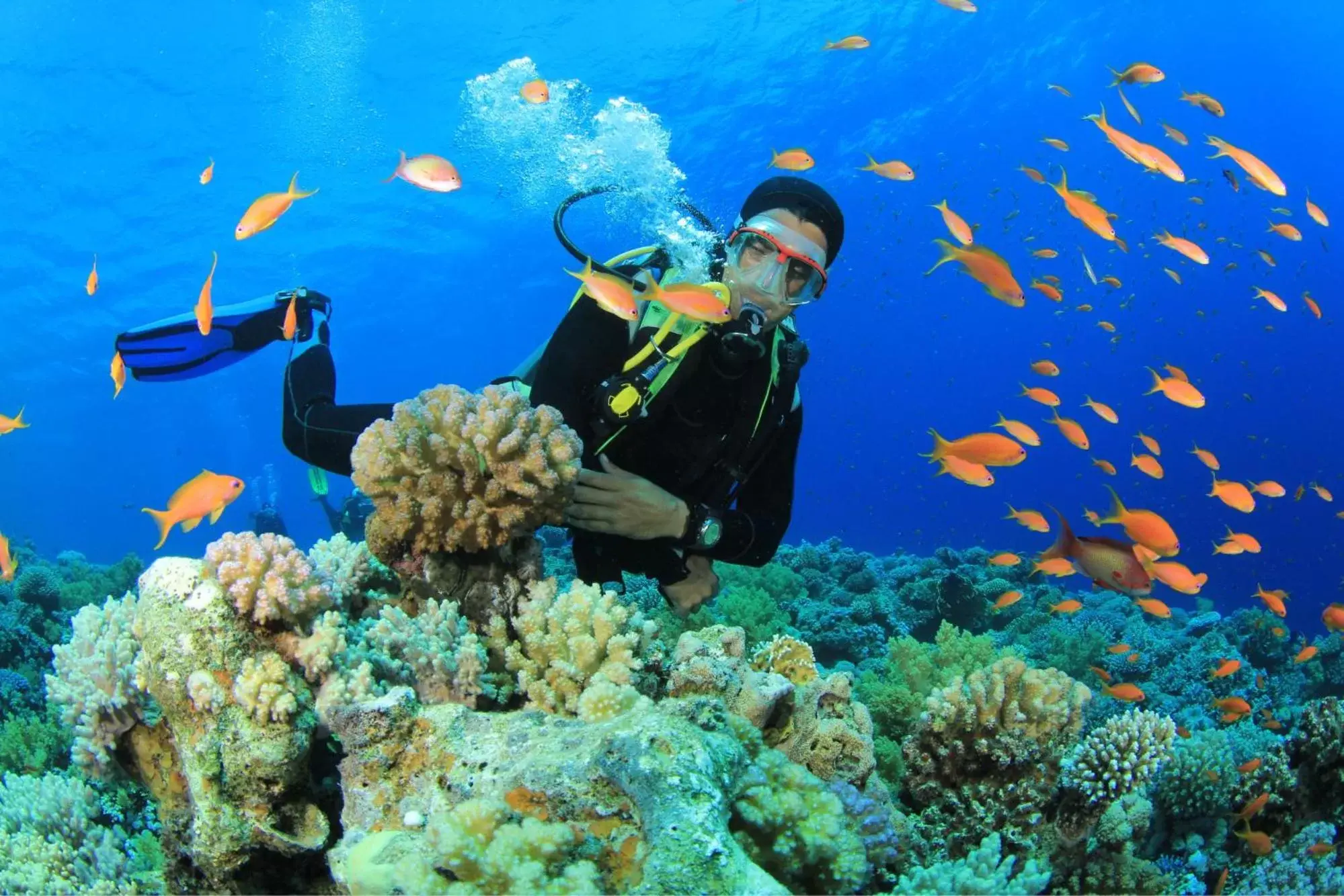 Diving in Huvan Beach Hotel at Hulhumale