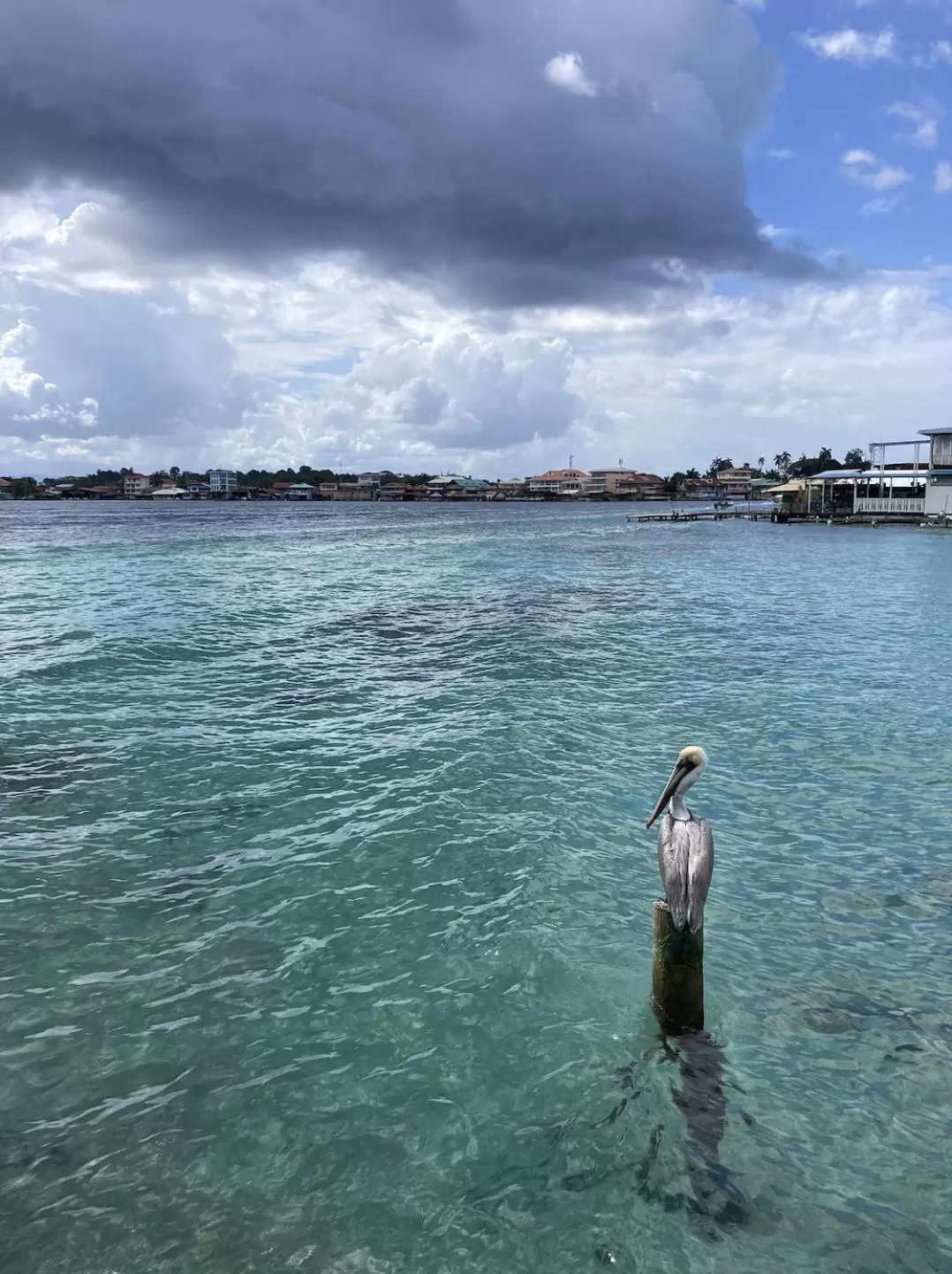 Casa Acuario Boutique Hotel