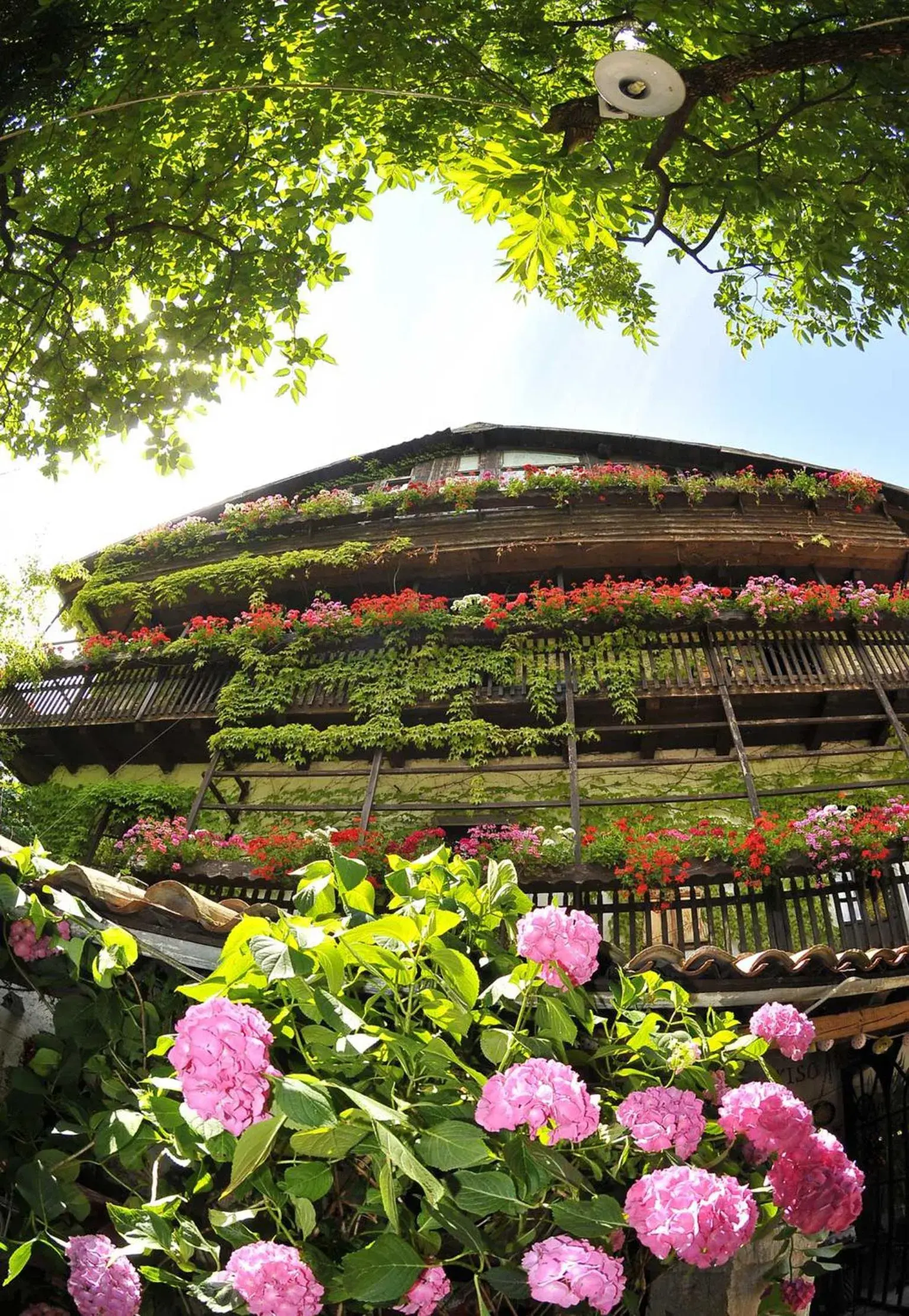 Summer in Villa Bertagnolli - Locanda Del Bel Sorriso