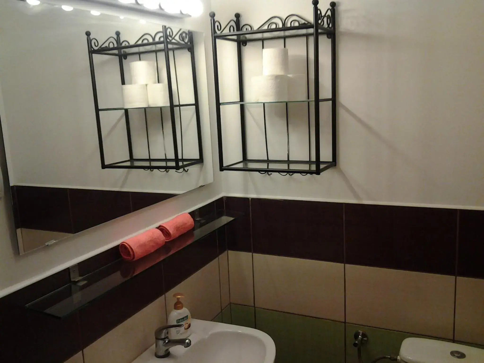 Bathroom in Liechtenstein Apartments