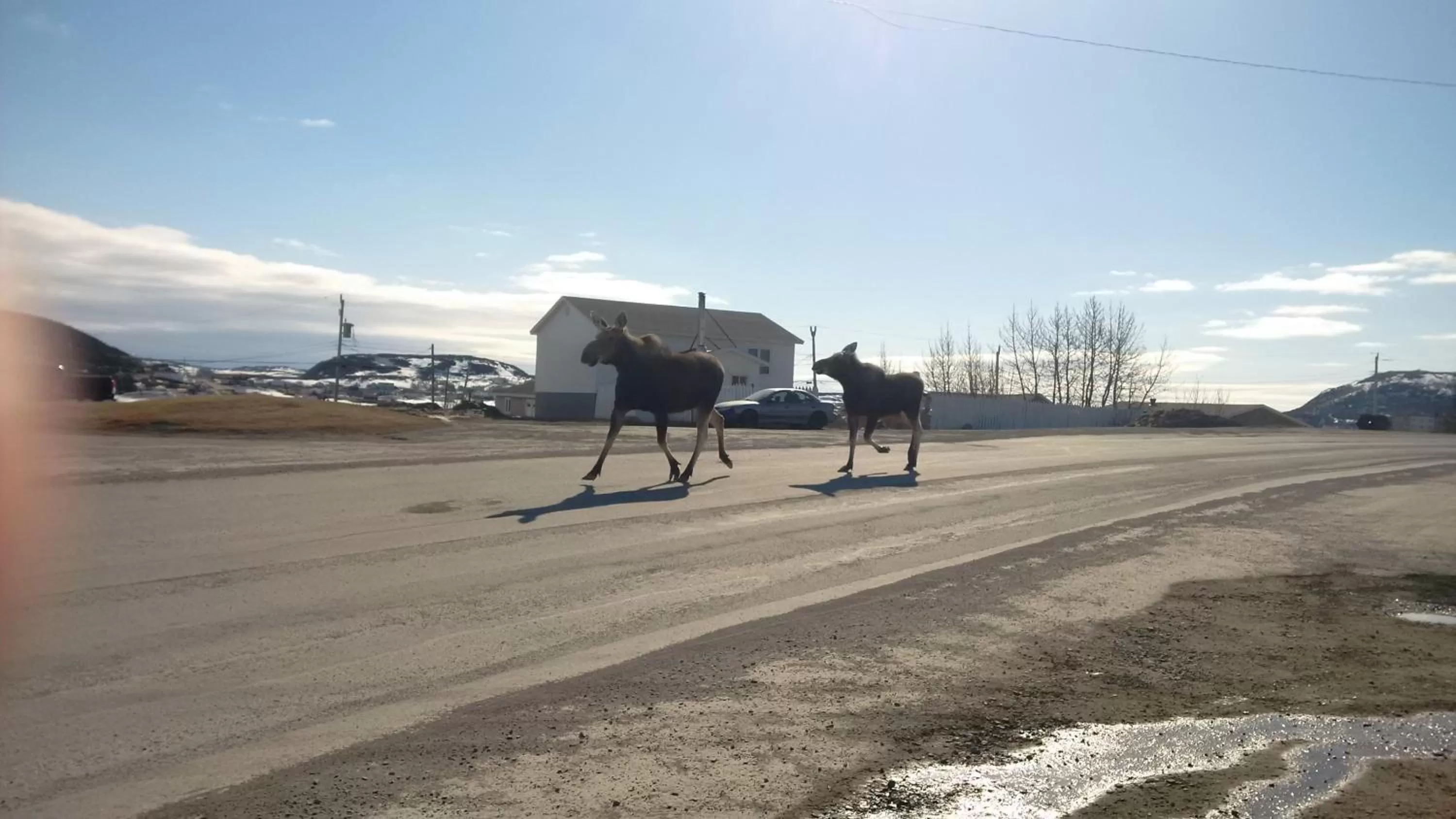 Other in Grenfell Heritage Hotel & Suites