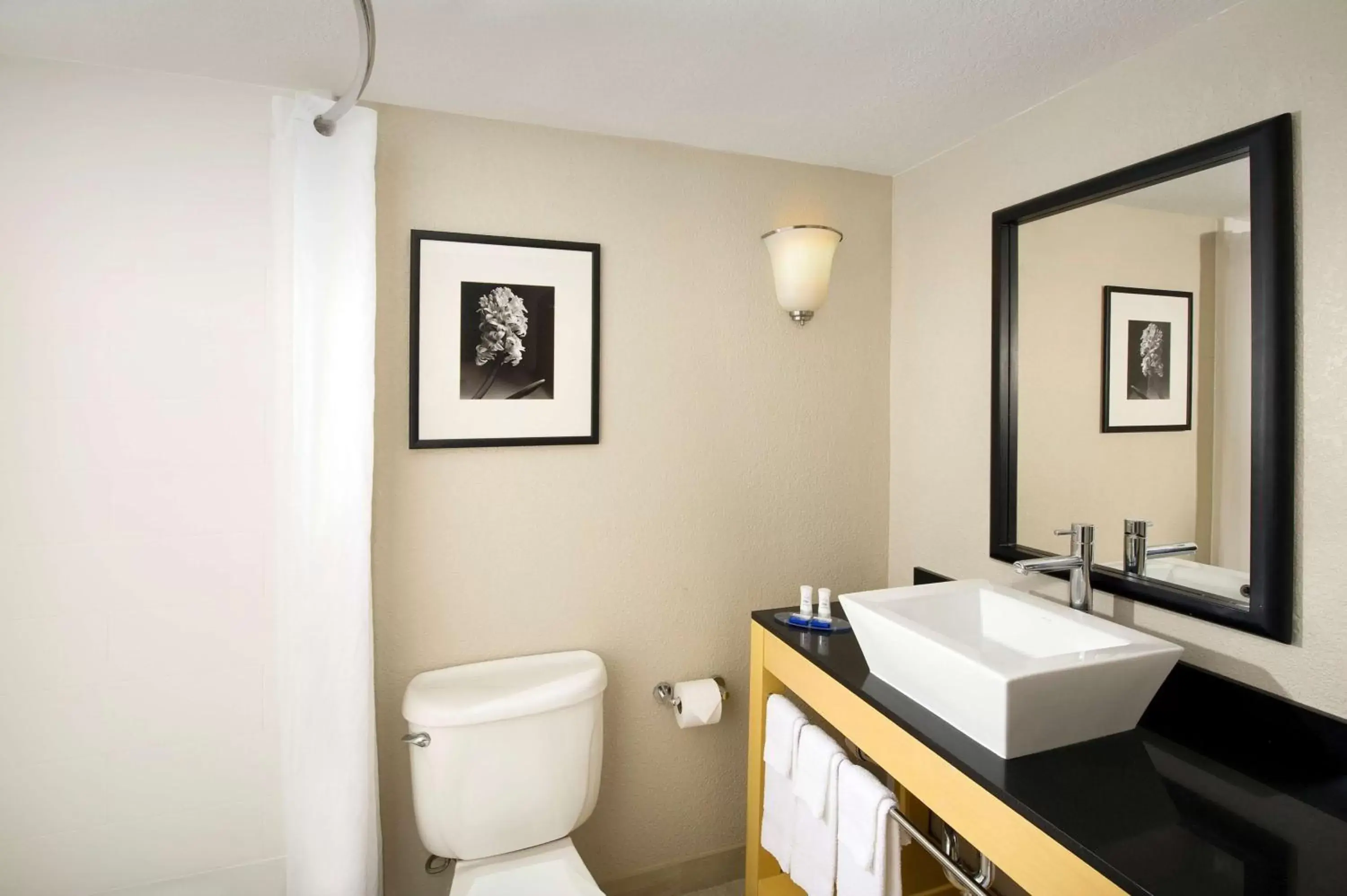 Photo of the whole room, Bathroom in Best Western Alamo Suites Downtown