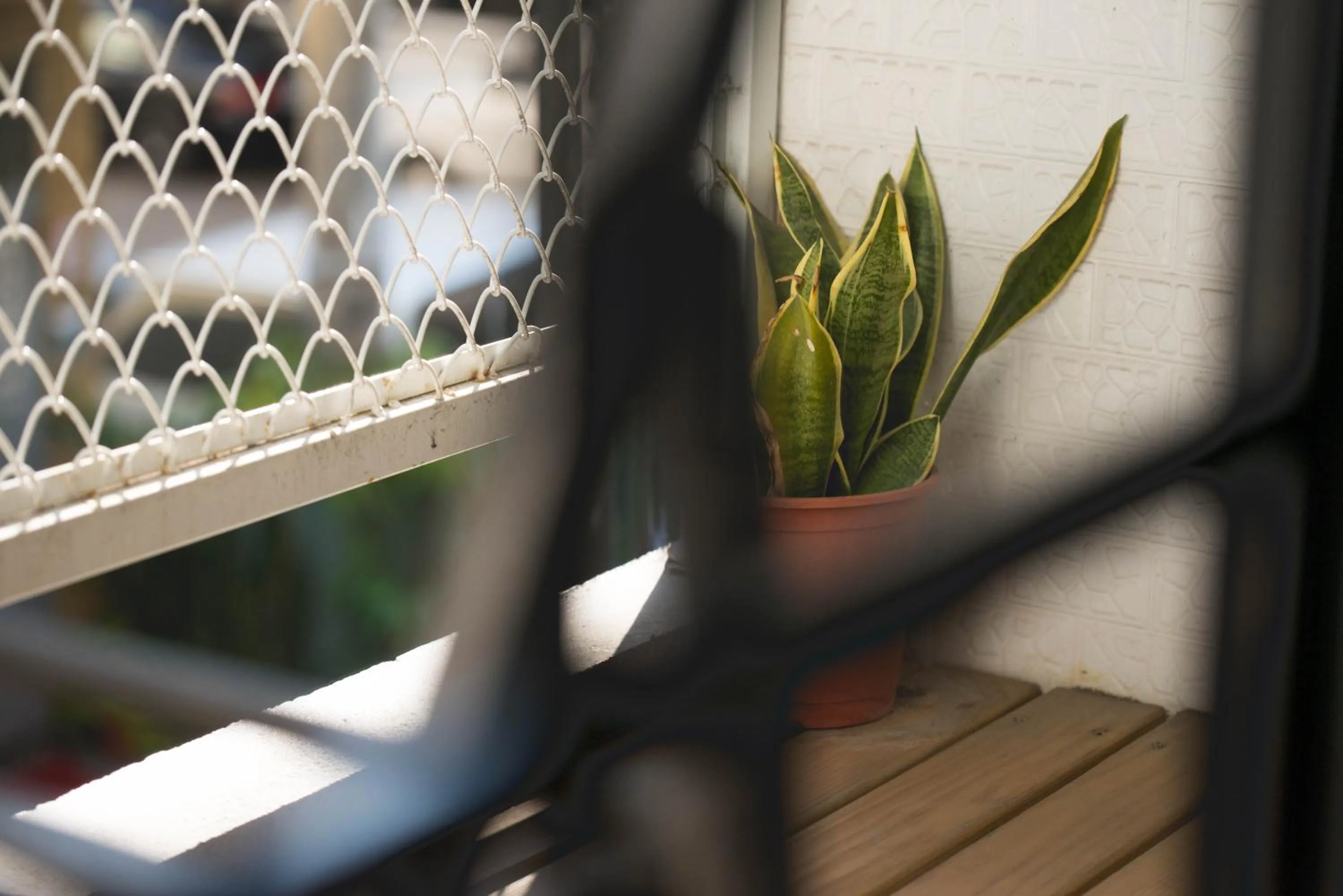 被愛咖啡小旅館 Birdeye Garden