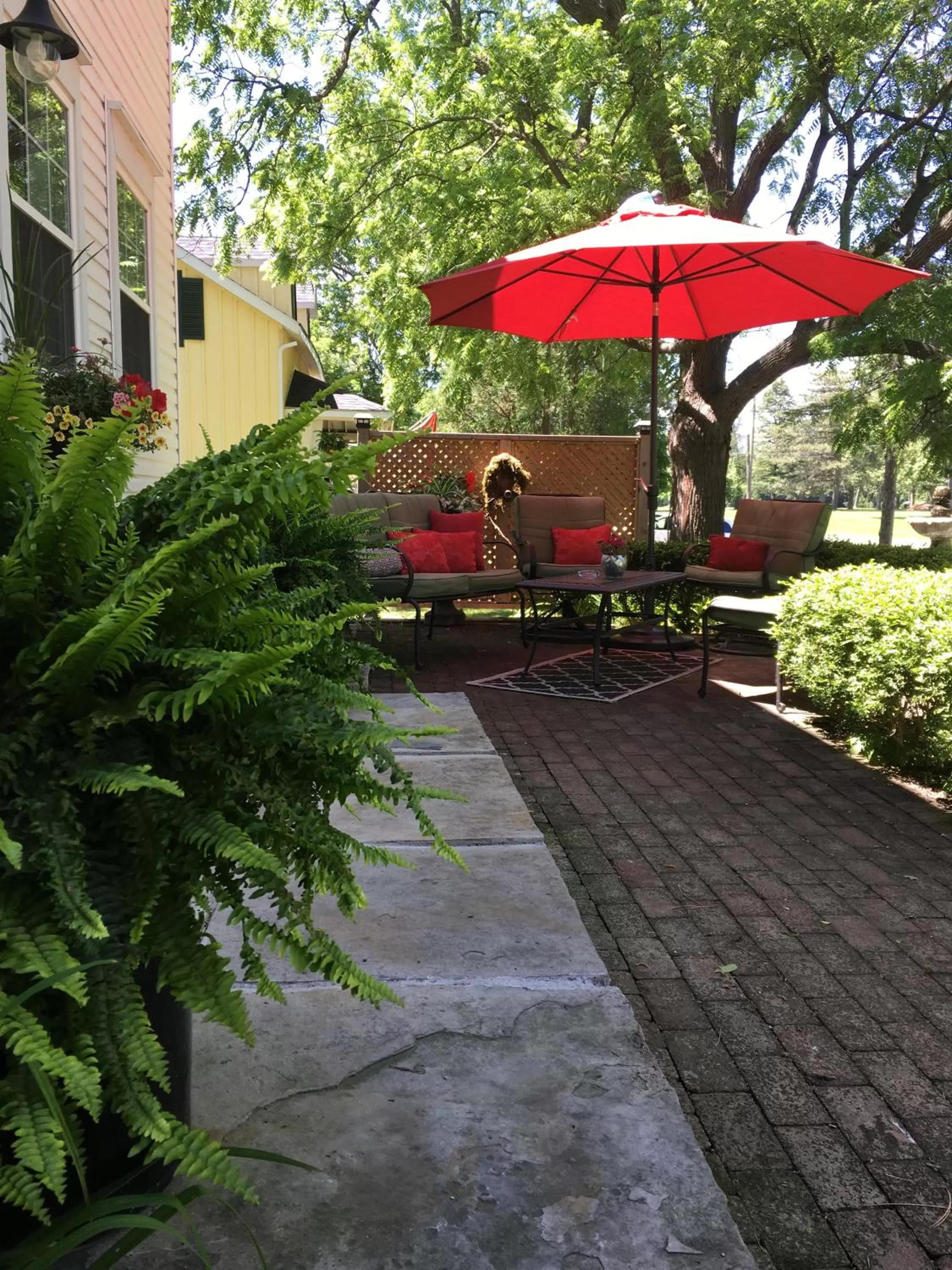 Patio in Darlington House Bed and Breakfast