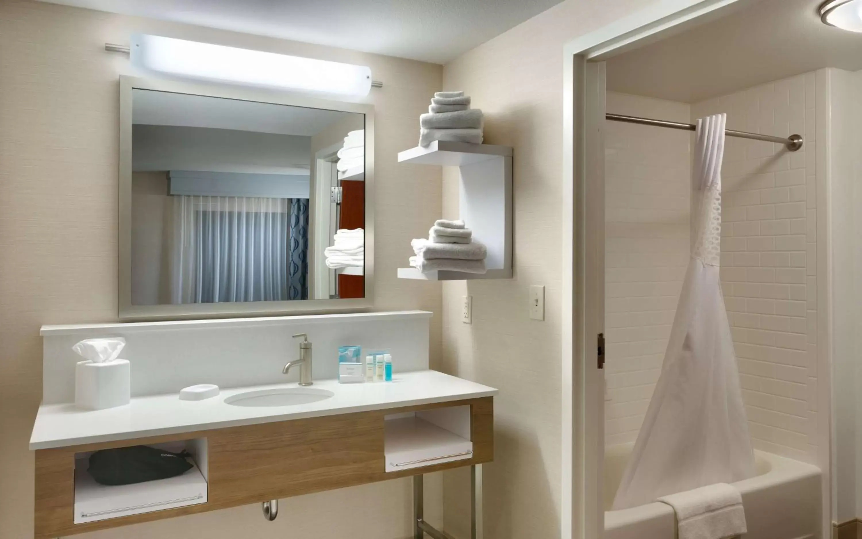 Bathroom in Hampton Inn & Suites Pocatello