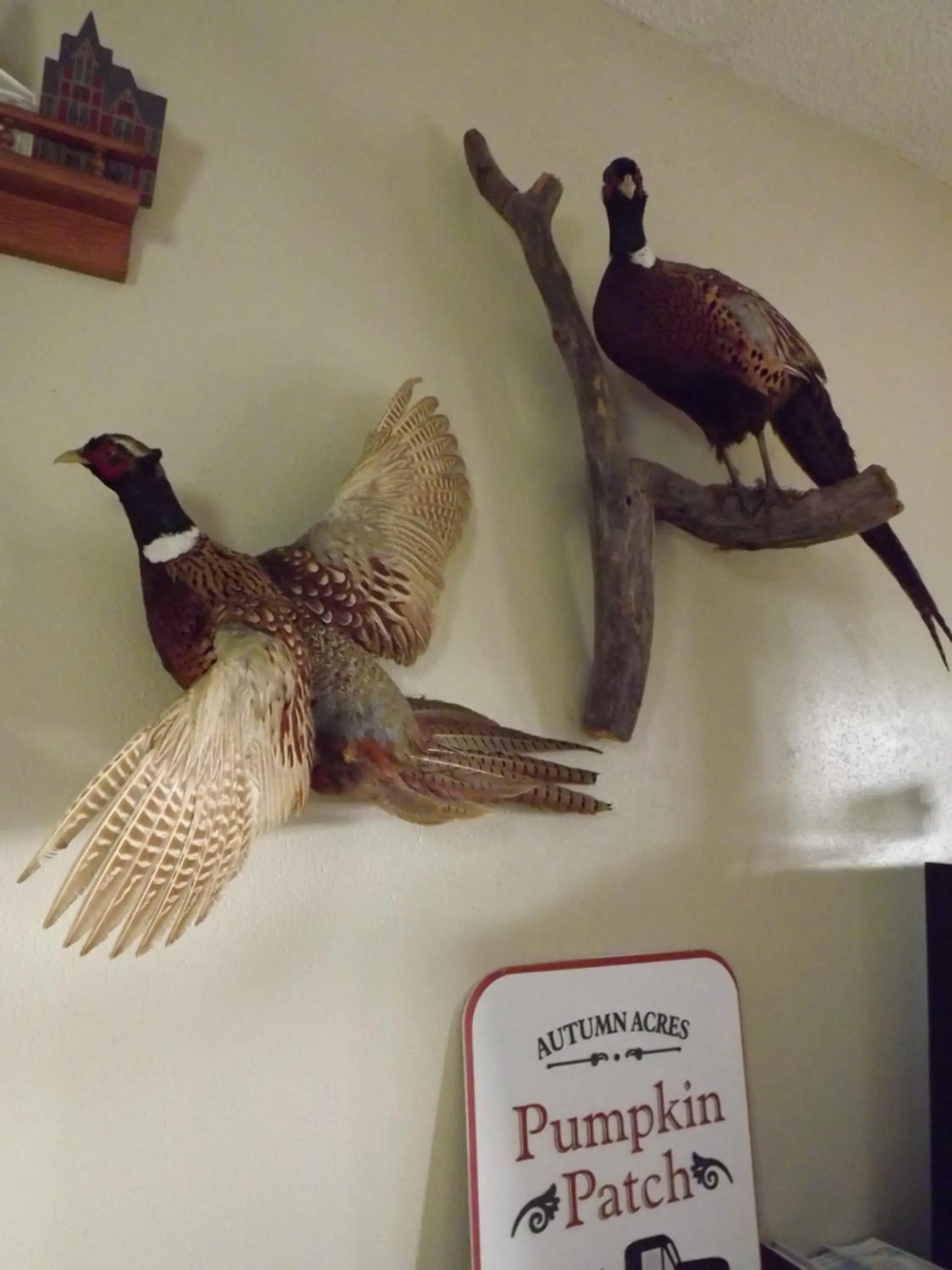 Decorative detail, Other Animals in Crest Country Inn