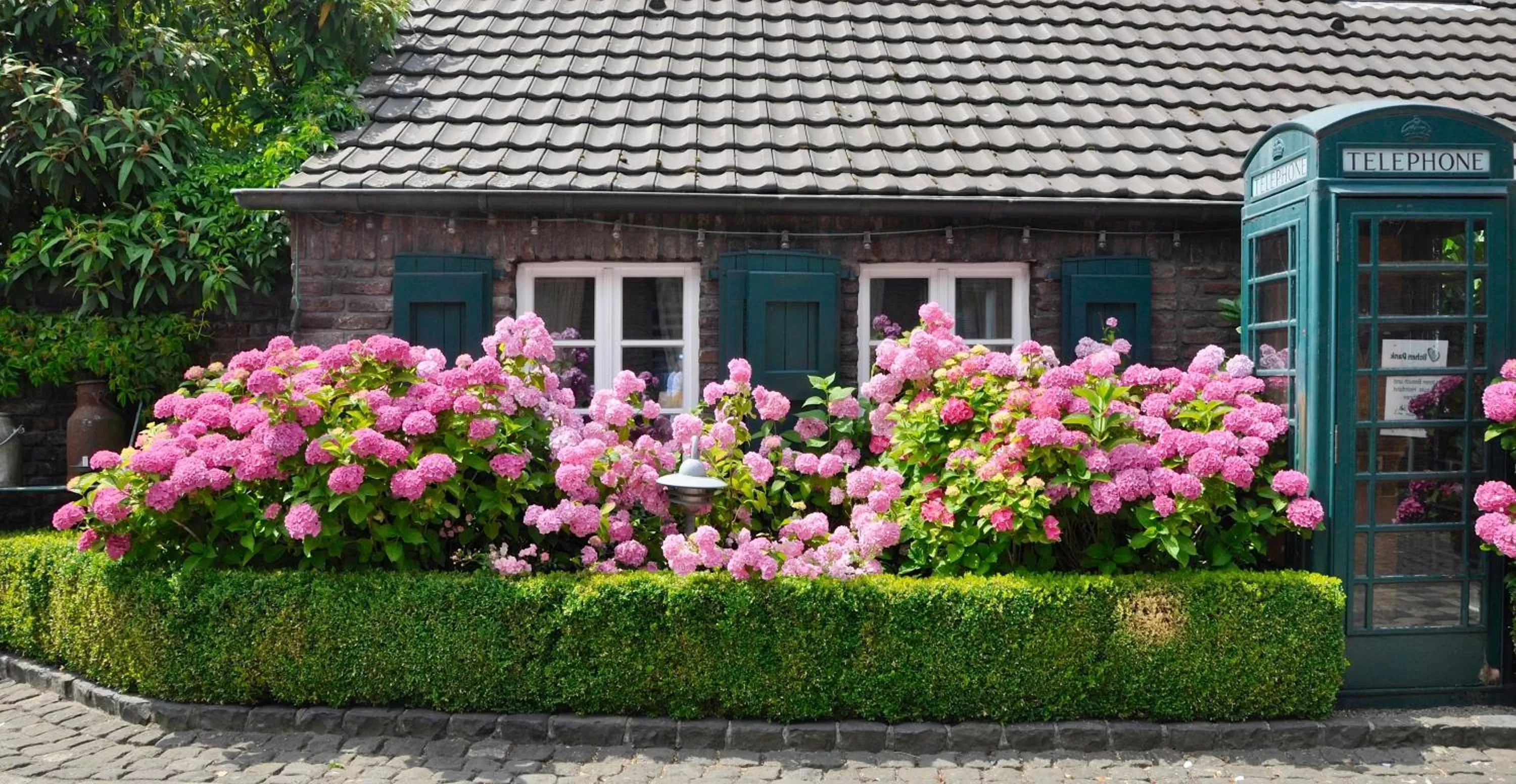 Property building in Wellings Romantik Hotel zur Linde