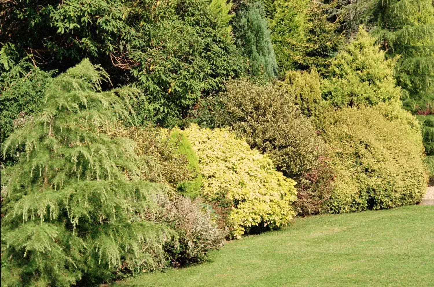 Garden in Tre-Ysgawen Hall & Spa