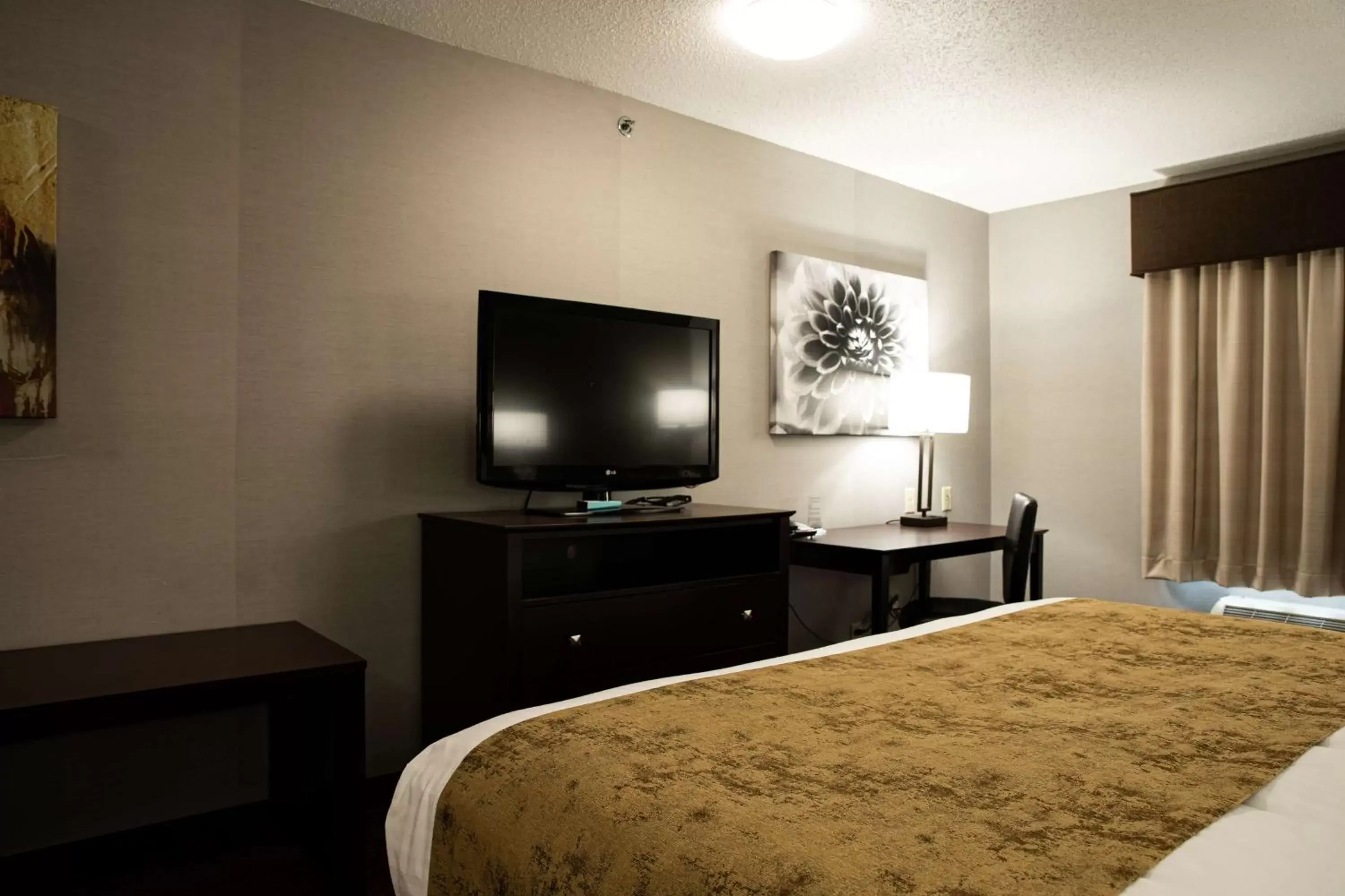 Bedroom, TV/Entertainment Center in Best Western Providence-Seekonk Inn