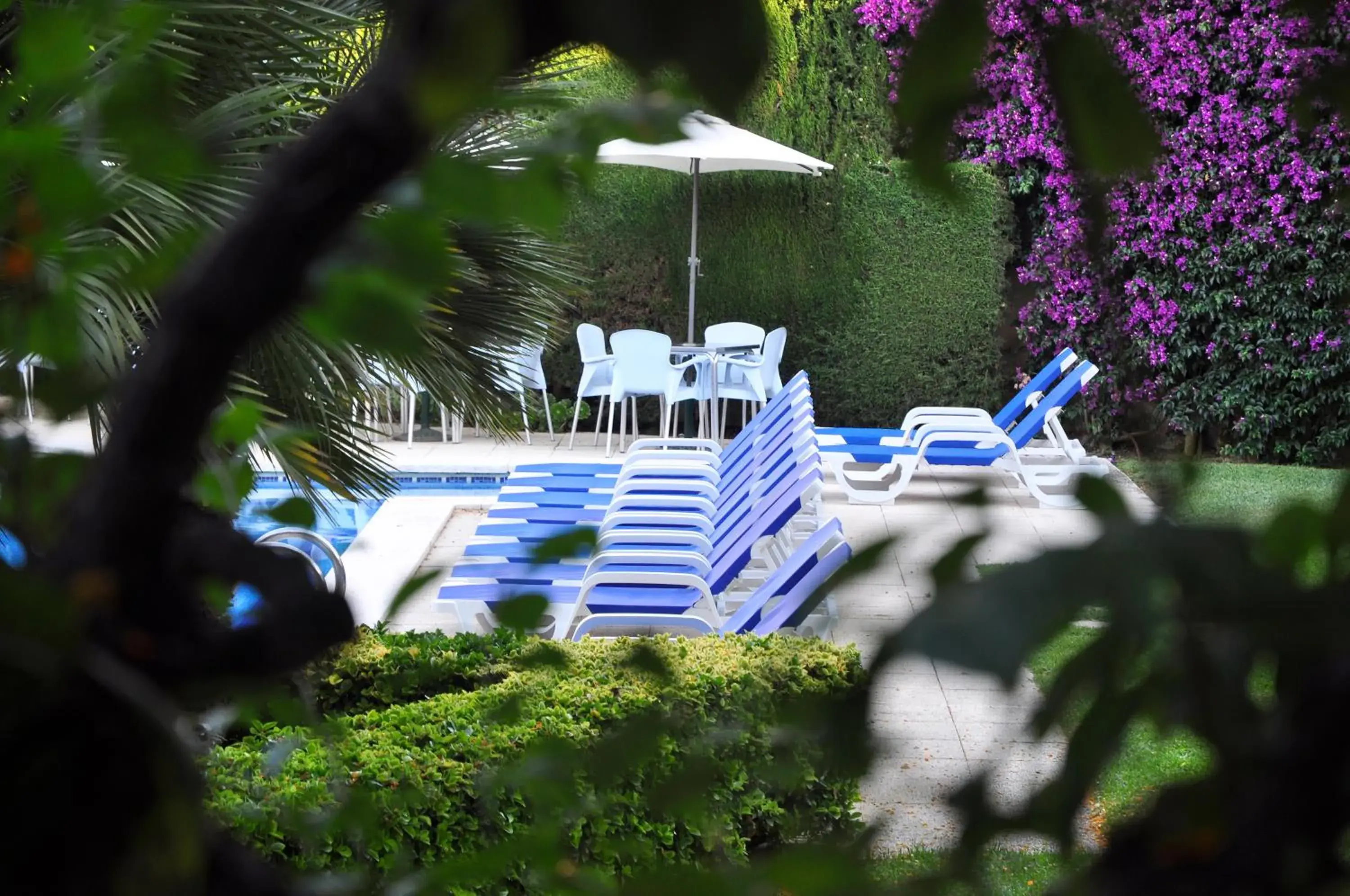 Garden, Swimming Pool in Hotel Yola