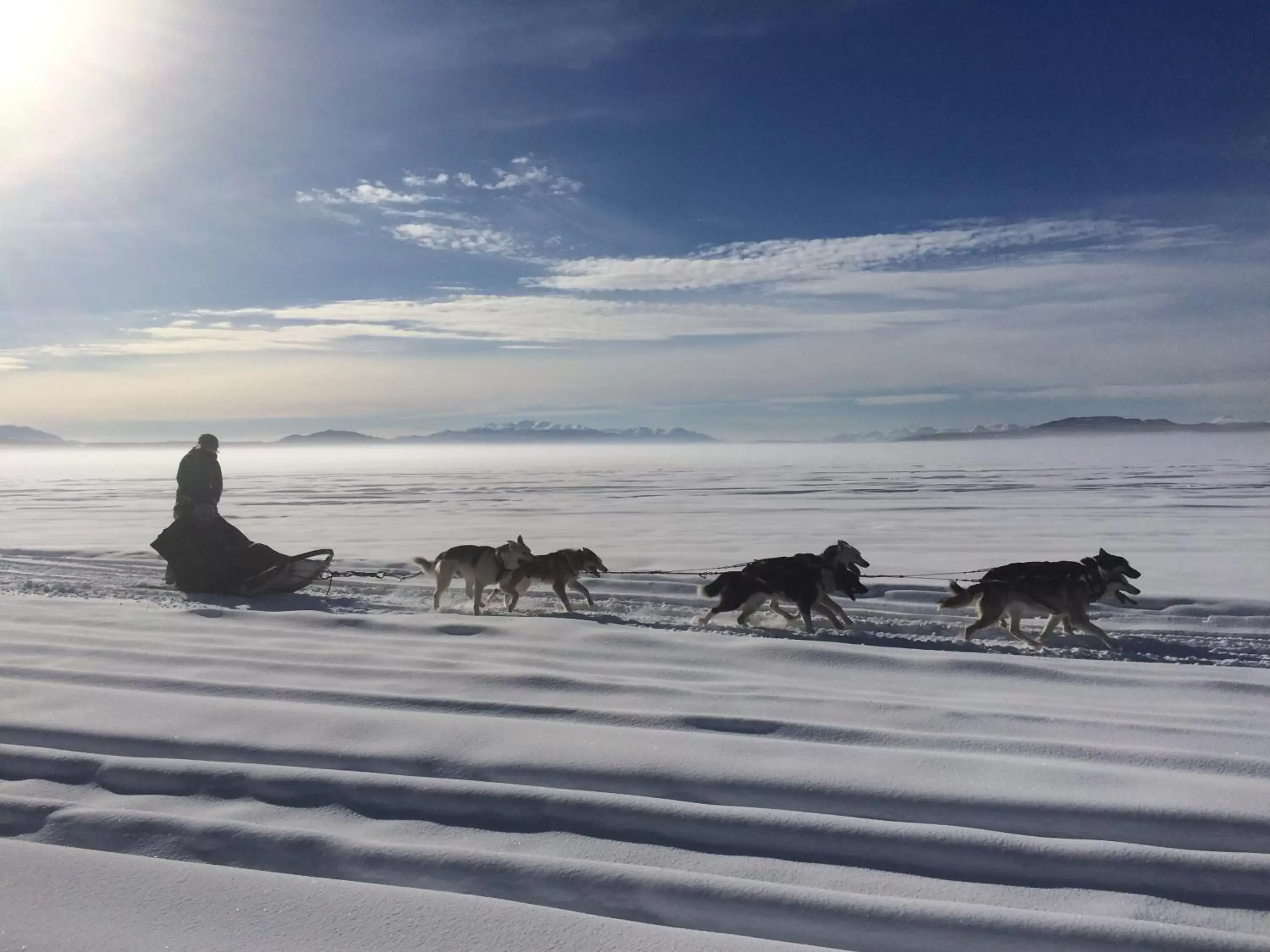 Activities, Other Animals in Inn on the Lake - Whitehorse