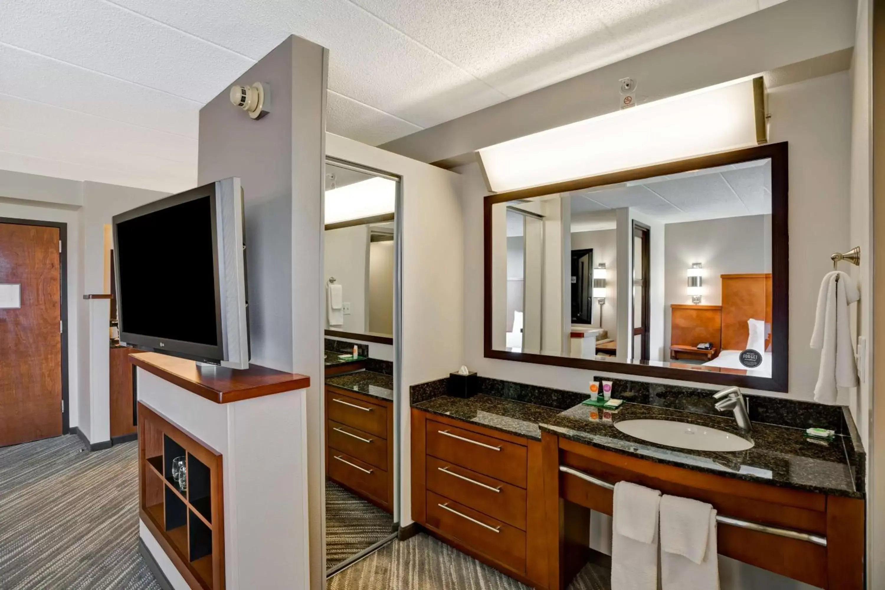 Photo of the whole room, Bathroom in Hyatt Place Baltimore-BWI Airport