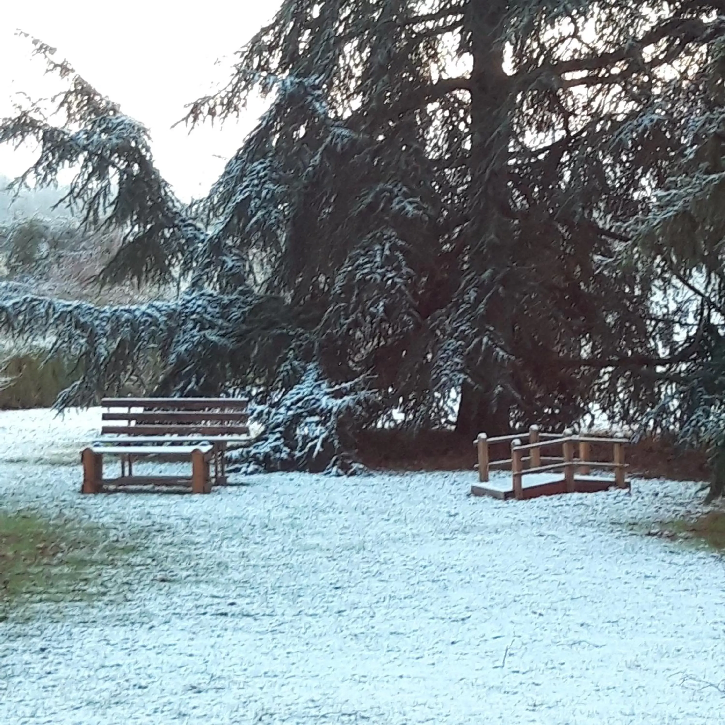 Winter, Garden in L'EDEN proche du Zoo de Beauval de Saint Aignan