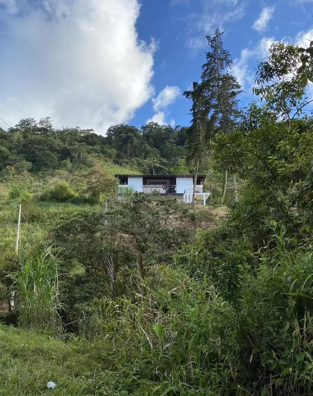 Property Building in Arte de Plumas birding lodge