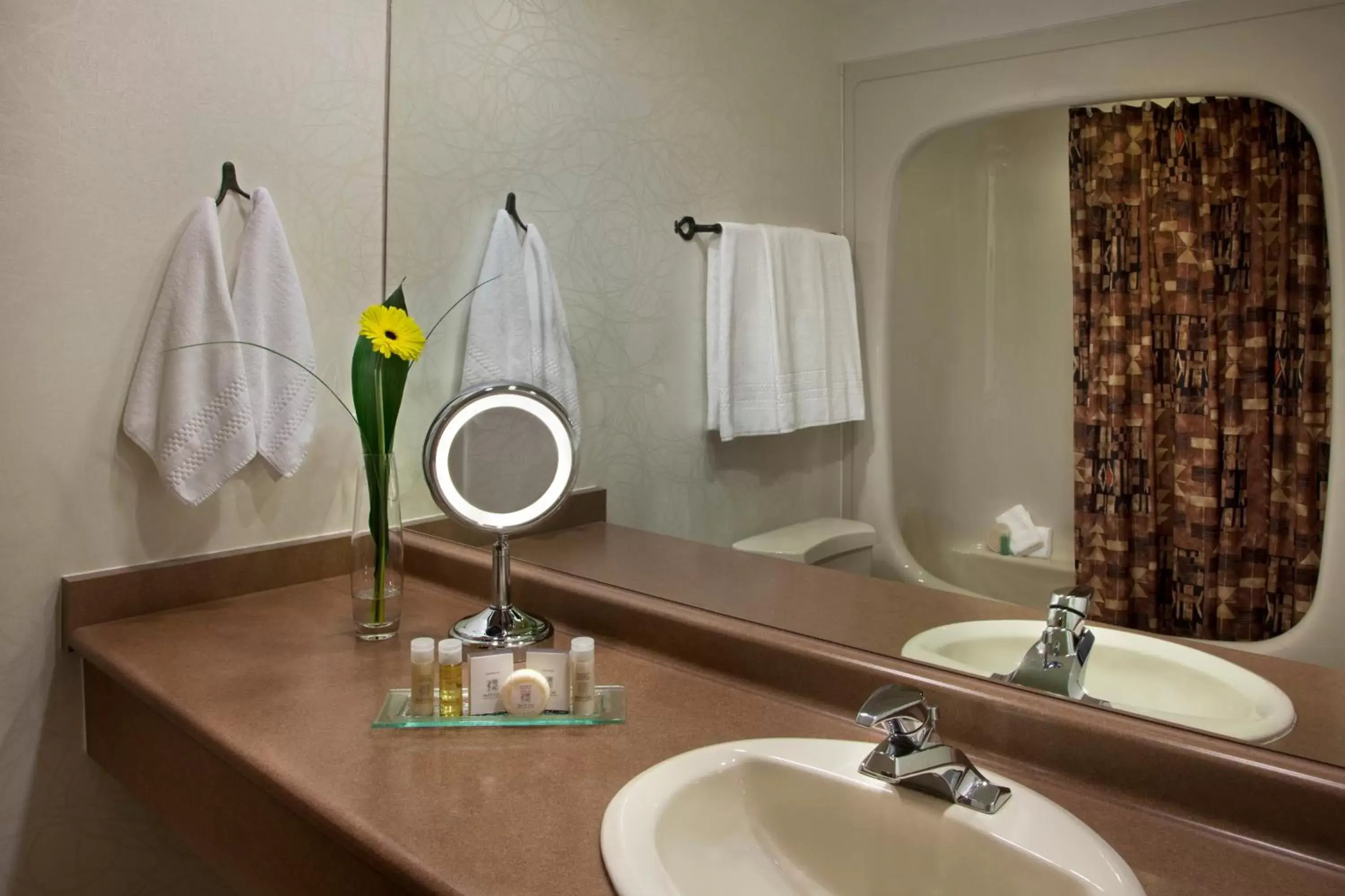 Other, Bathroom in White Oaks Conference & Resort Spa